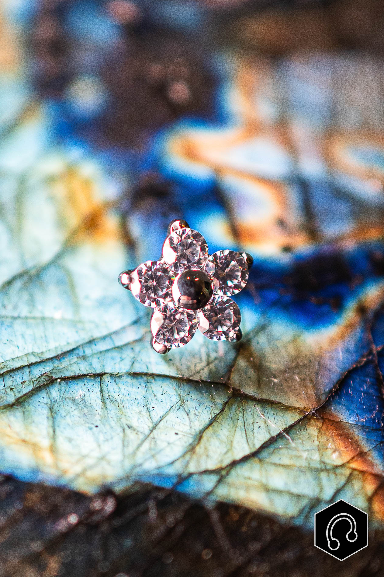 Labret Titane Argenté Fleur de givre