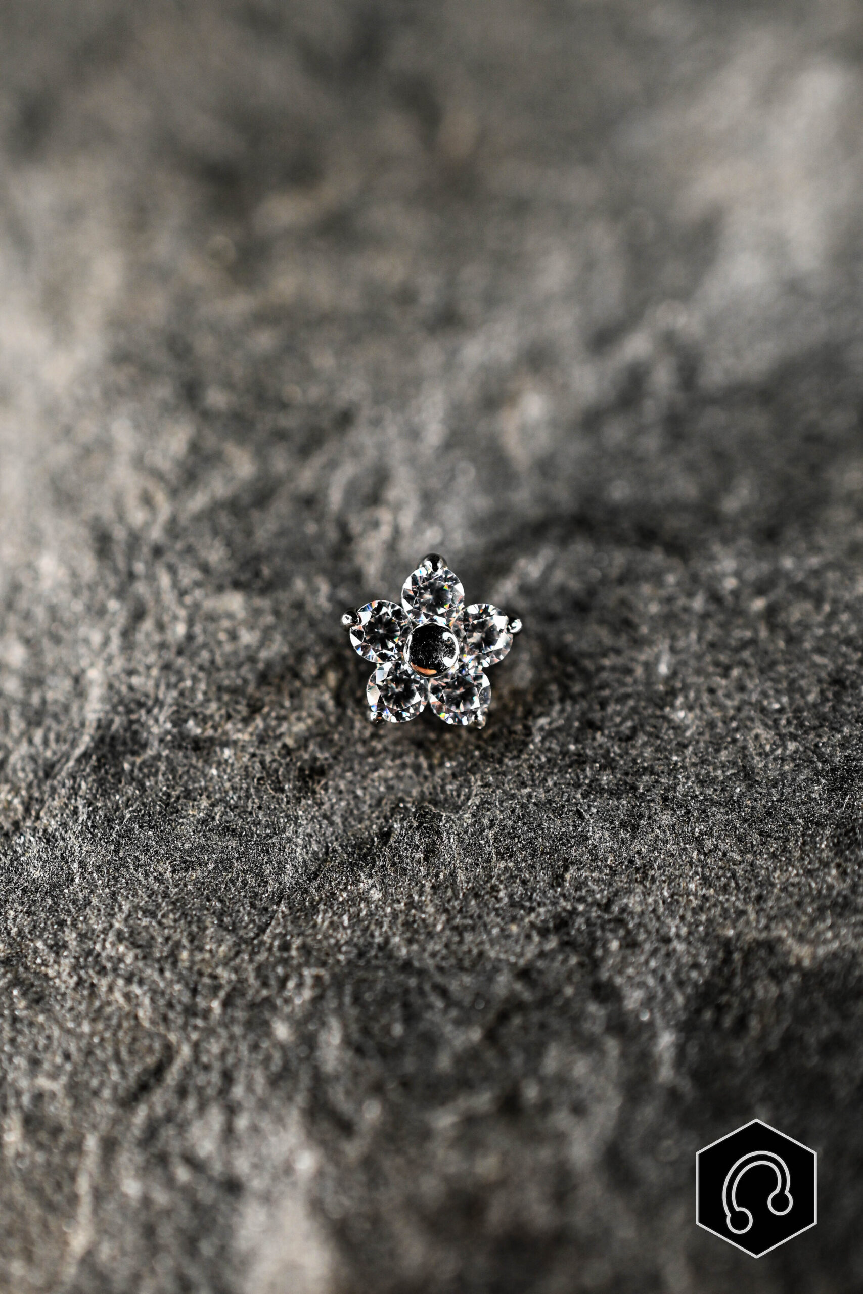 Labret Titane Argenté Fleur de givre