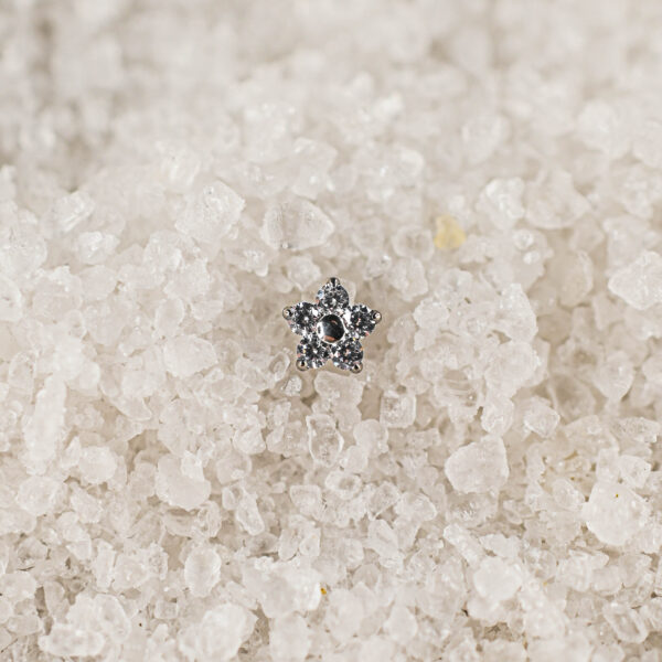 Labret Titane Argenté Fleur de givre