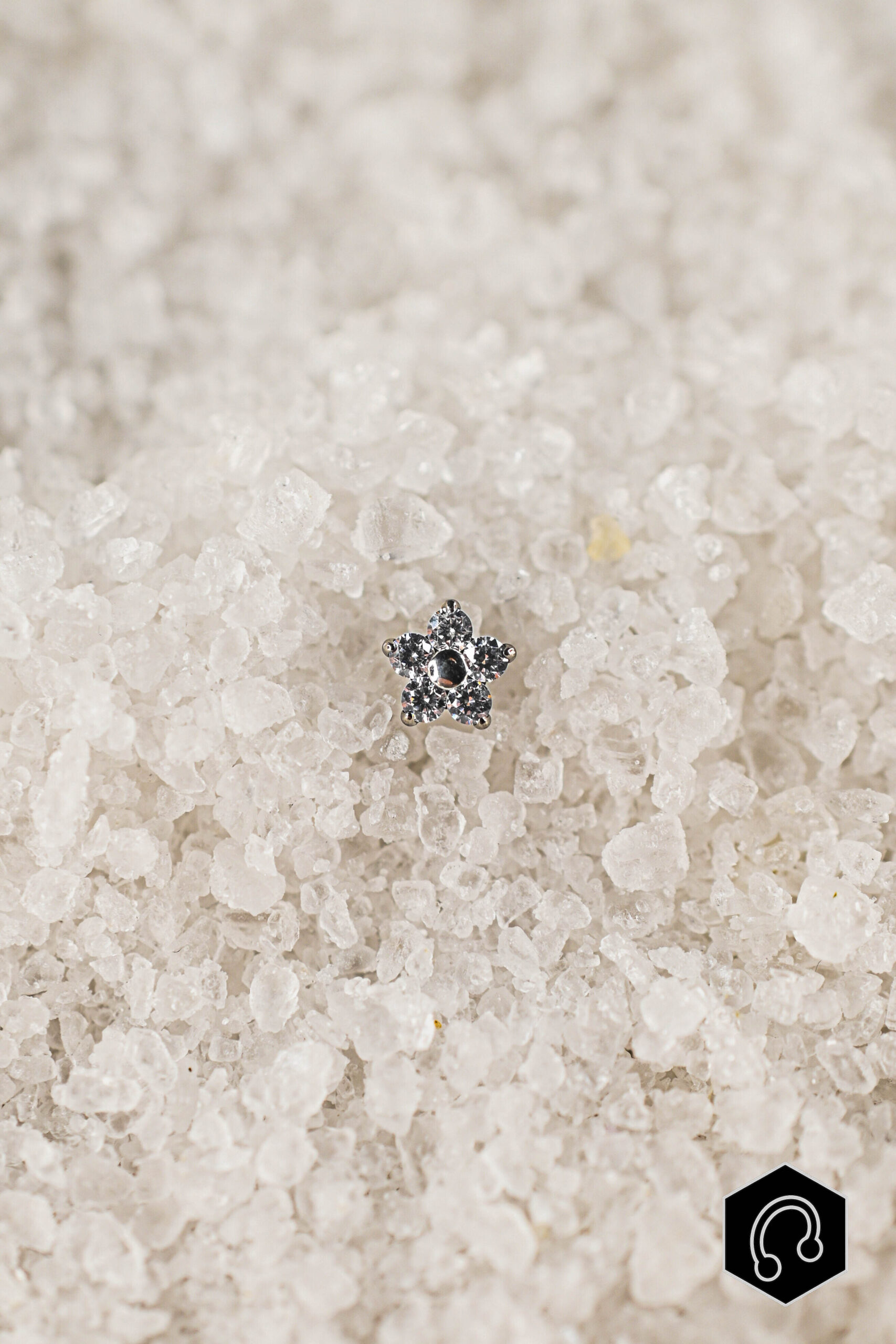 Labret Titane Argenté Fleur de givre