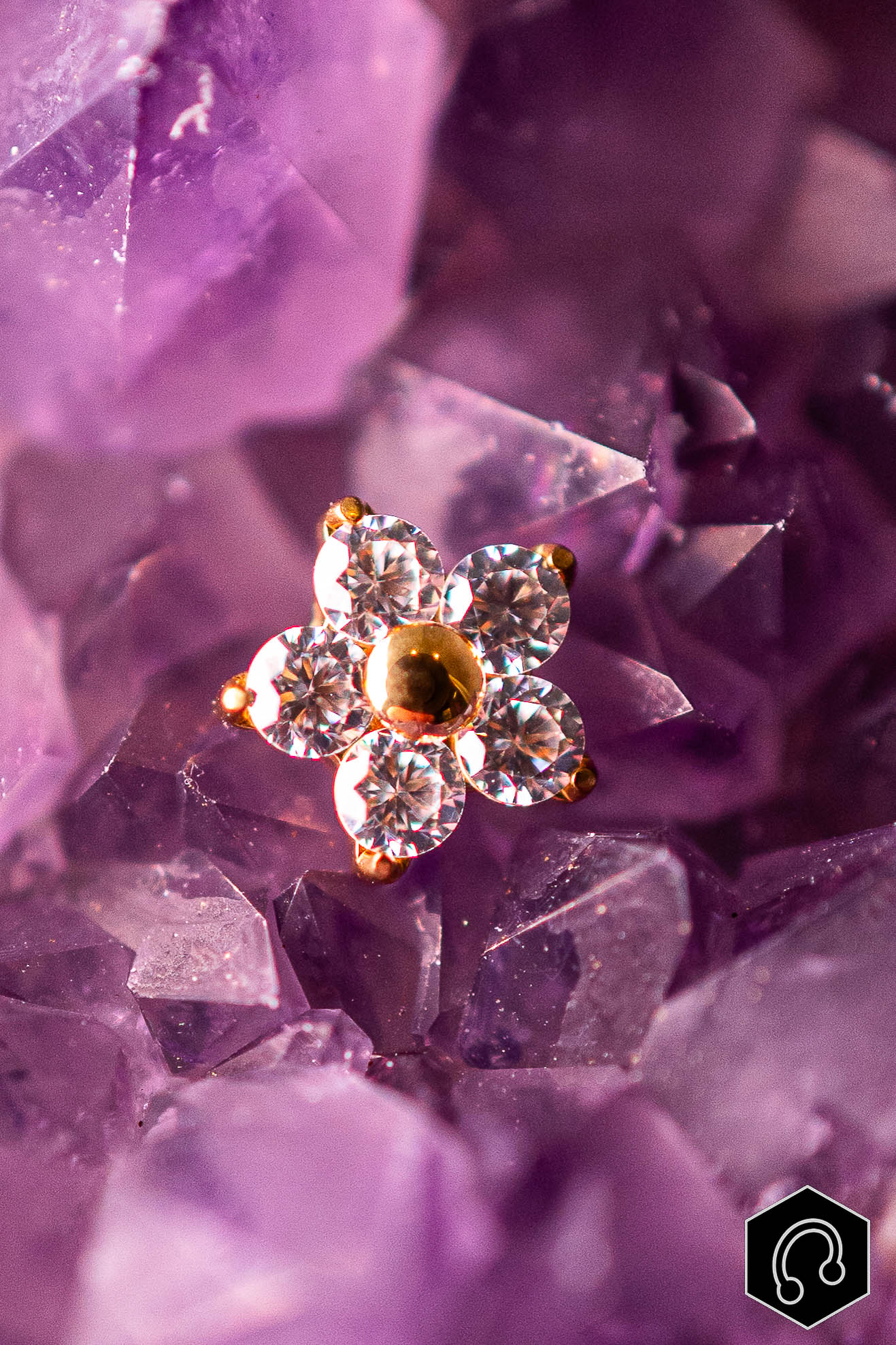 Labret Titane Doré Fleur de givre