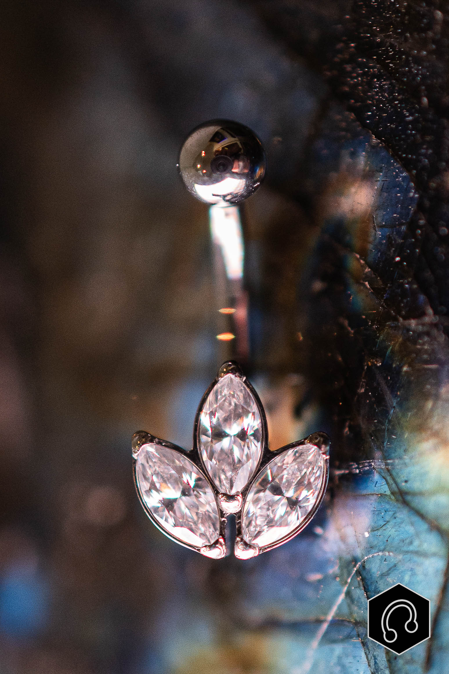 Banane Titane Rook Trinity Bloom