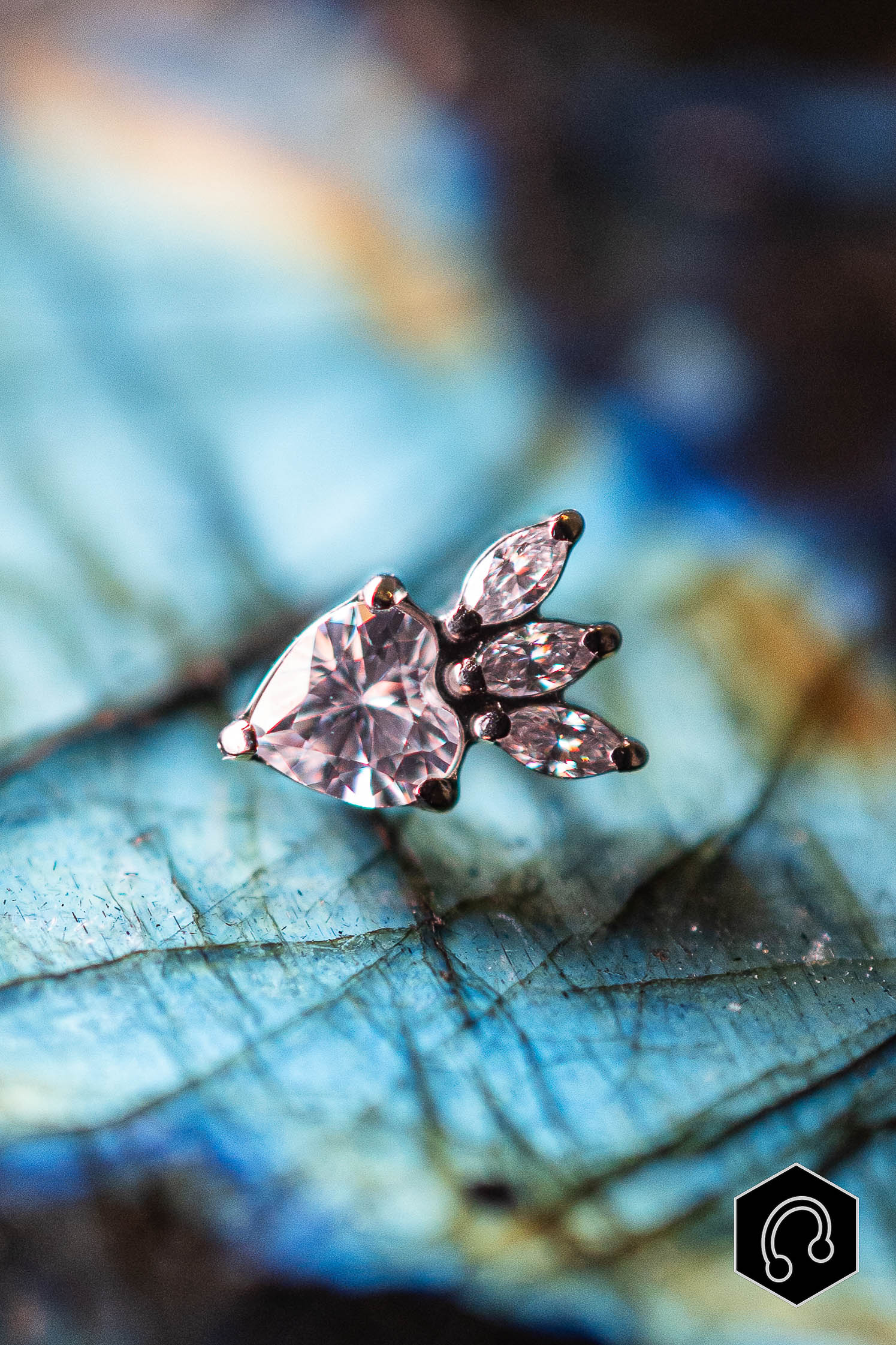 Labret Titane Éclat de Vénus