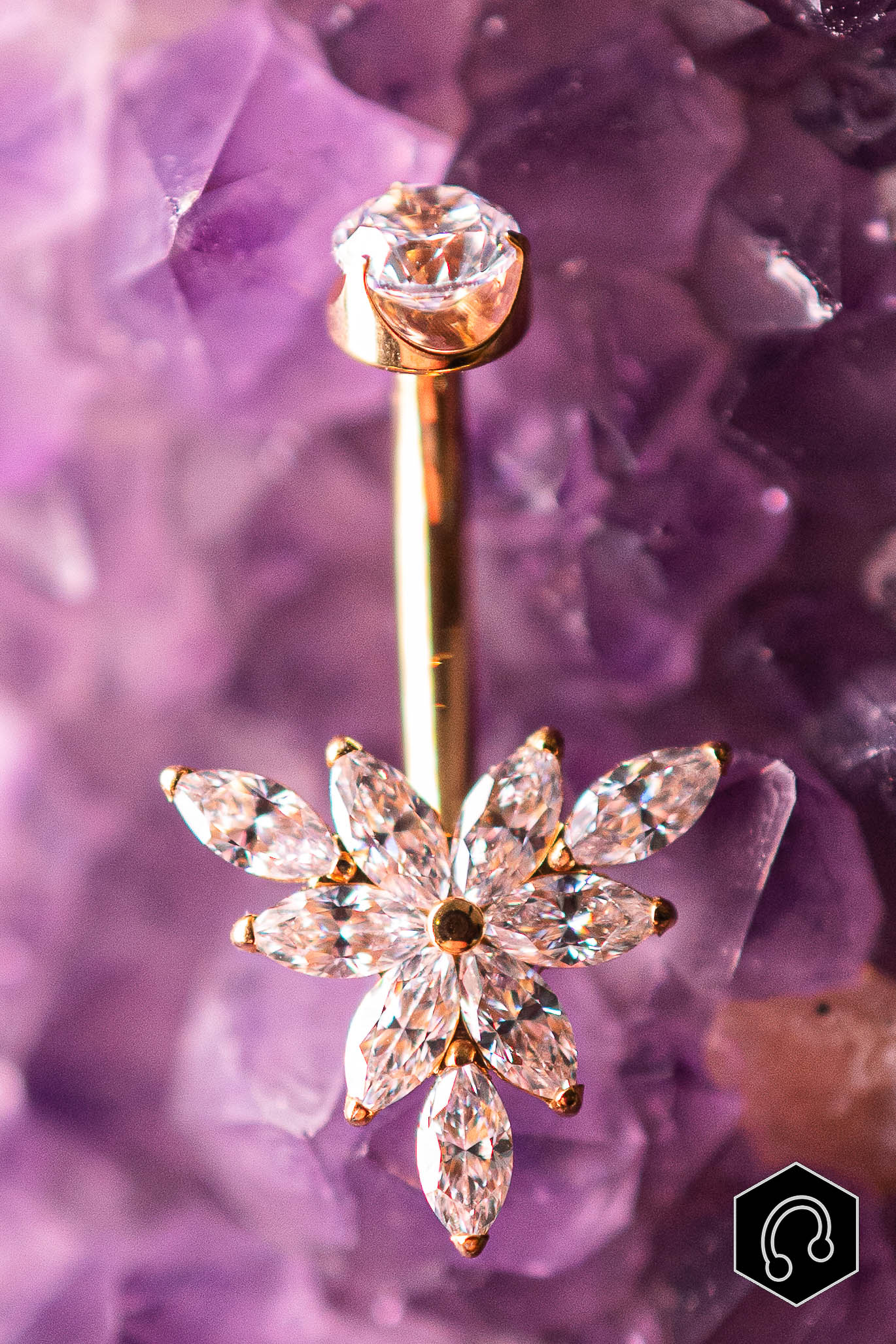 Banane Titane Doré Aurum Bloom – Image 3