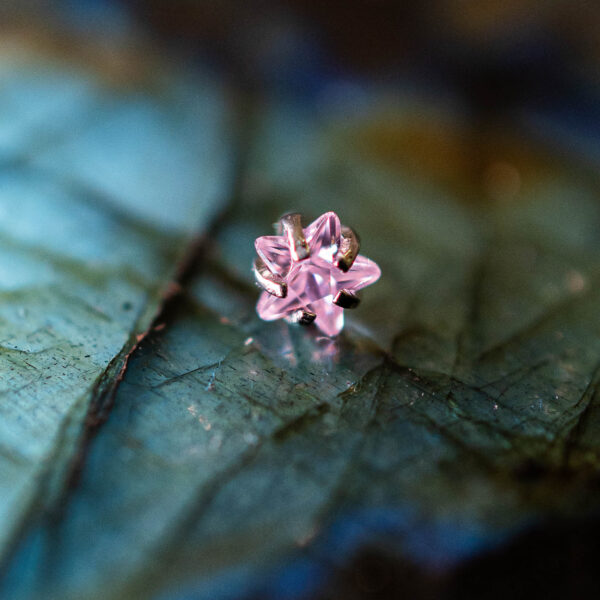 Strass Titane Starflower Rose