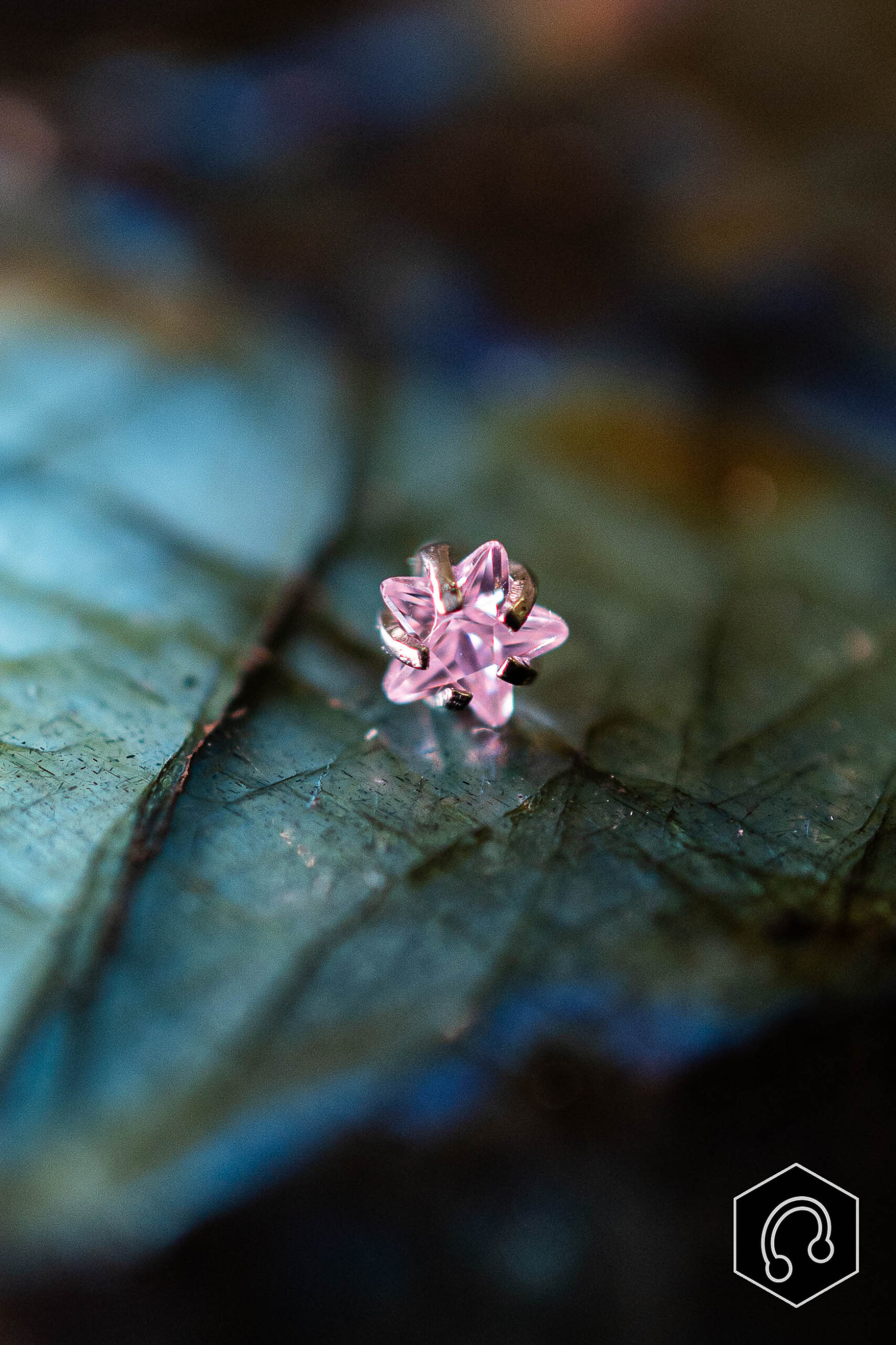 Strass Titane Starflower Rose