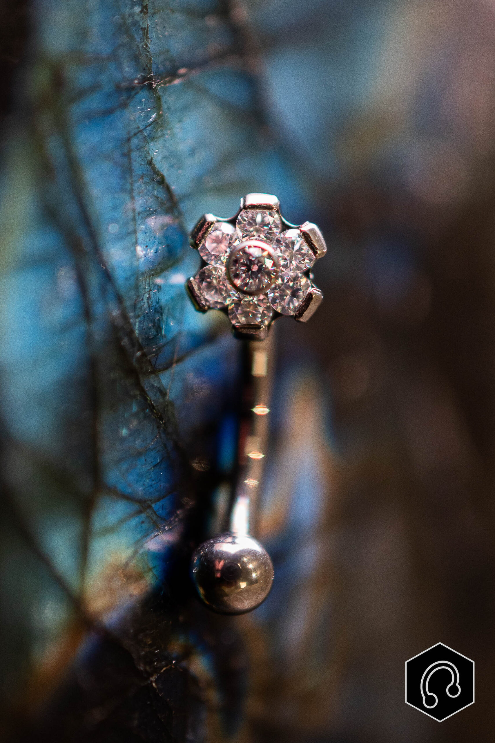 Banane Titane Argenté Shiny Petal