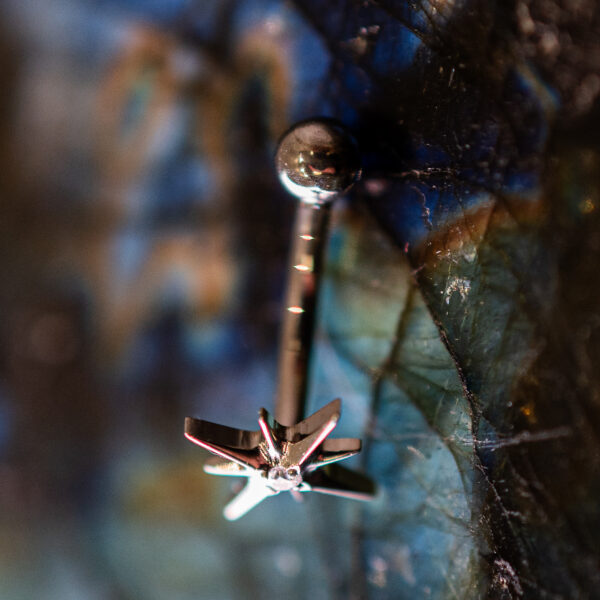 La boutique du piercing