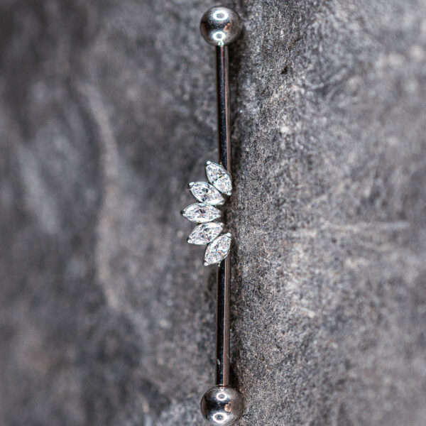 Barre Industriel Titane Argenté Flamme Royale