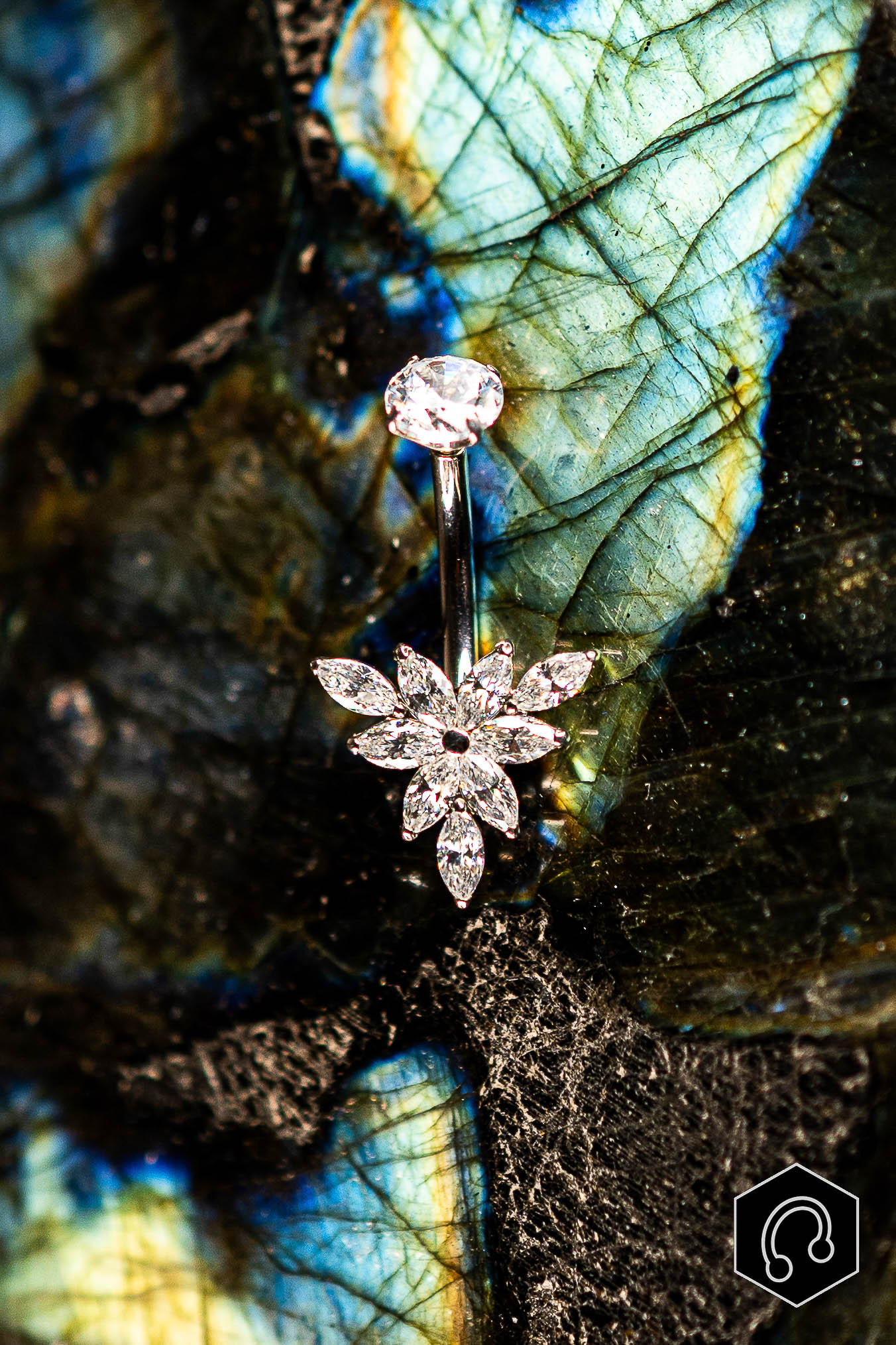 Banane Titane Argenté Aurum Bloom