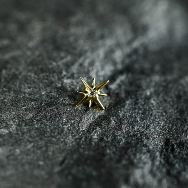 Labret Titane Doré Starlight