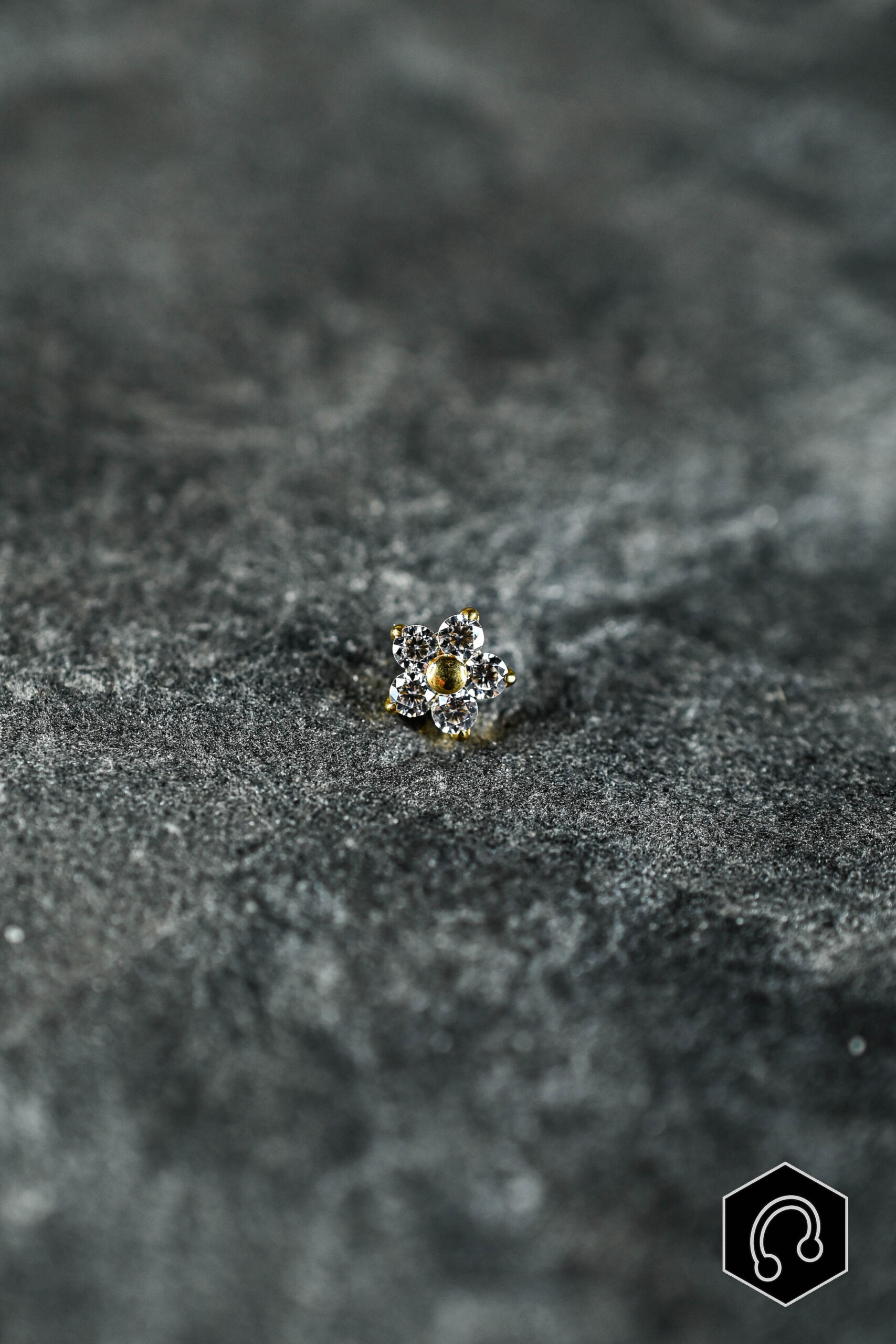 Labret Titane Doré Fleur de givre