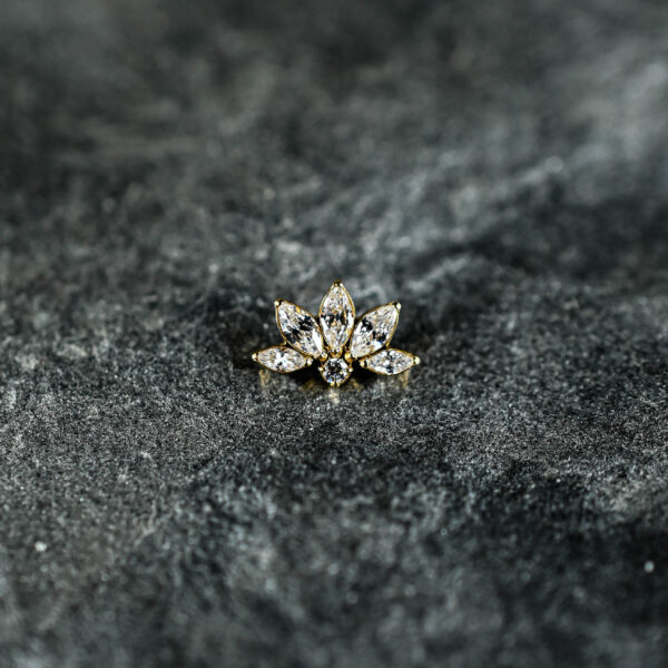 Labret Titane Doré Lotus Étoilé