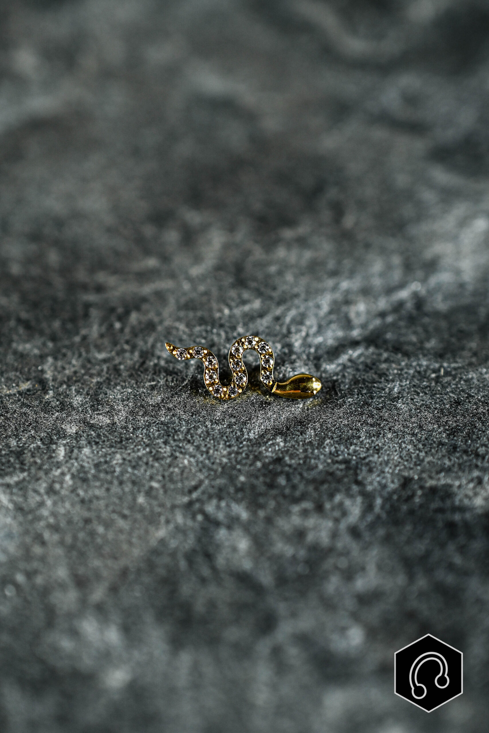 Labret Titane Doré Snake