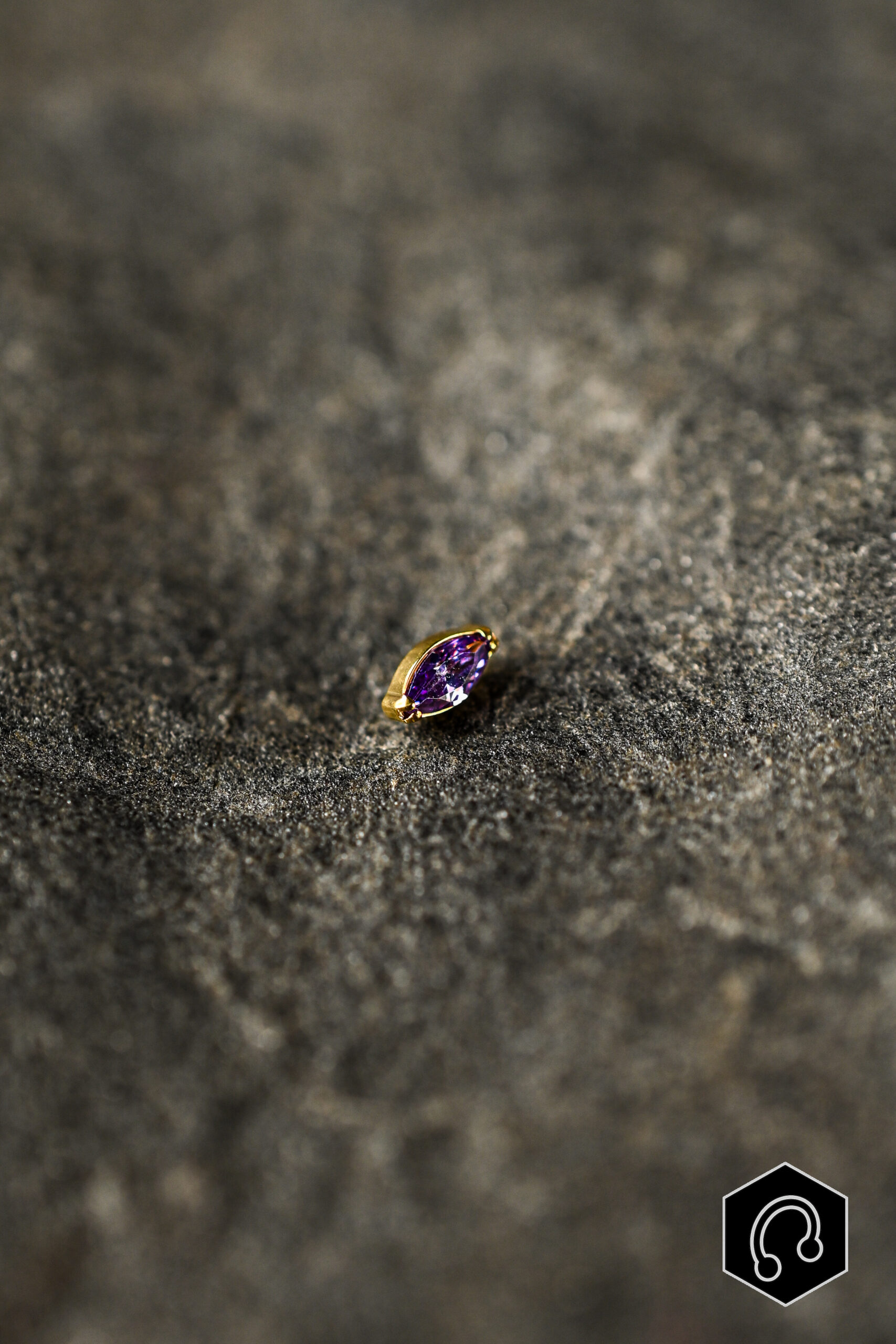 Labret Titane Doré purple Whisper