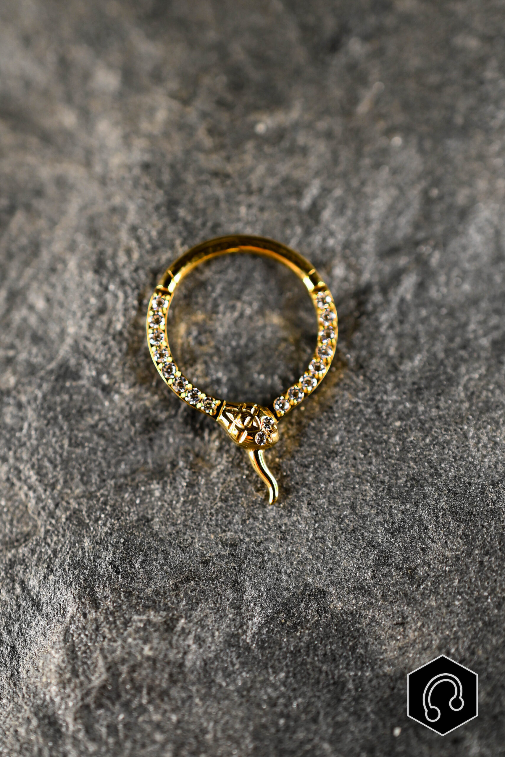 Anneau Titane Doré Ouroboros