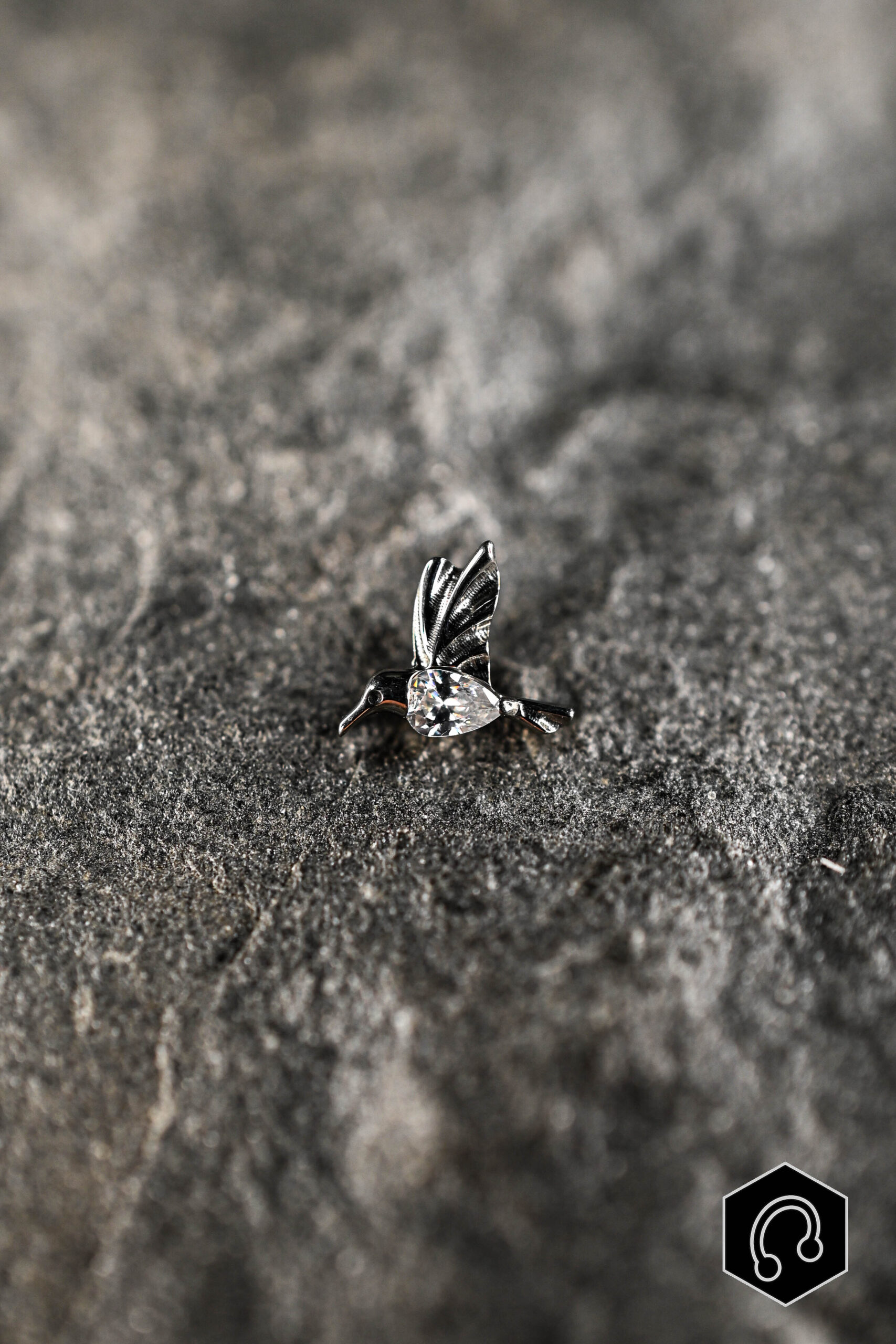 Labret Titane Argenté Colibria