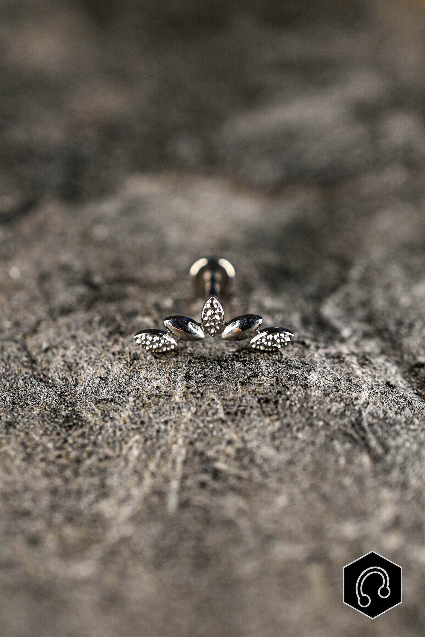 Labret Titane Argenté Martelmix