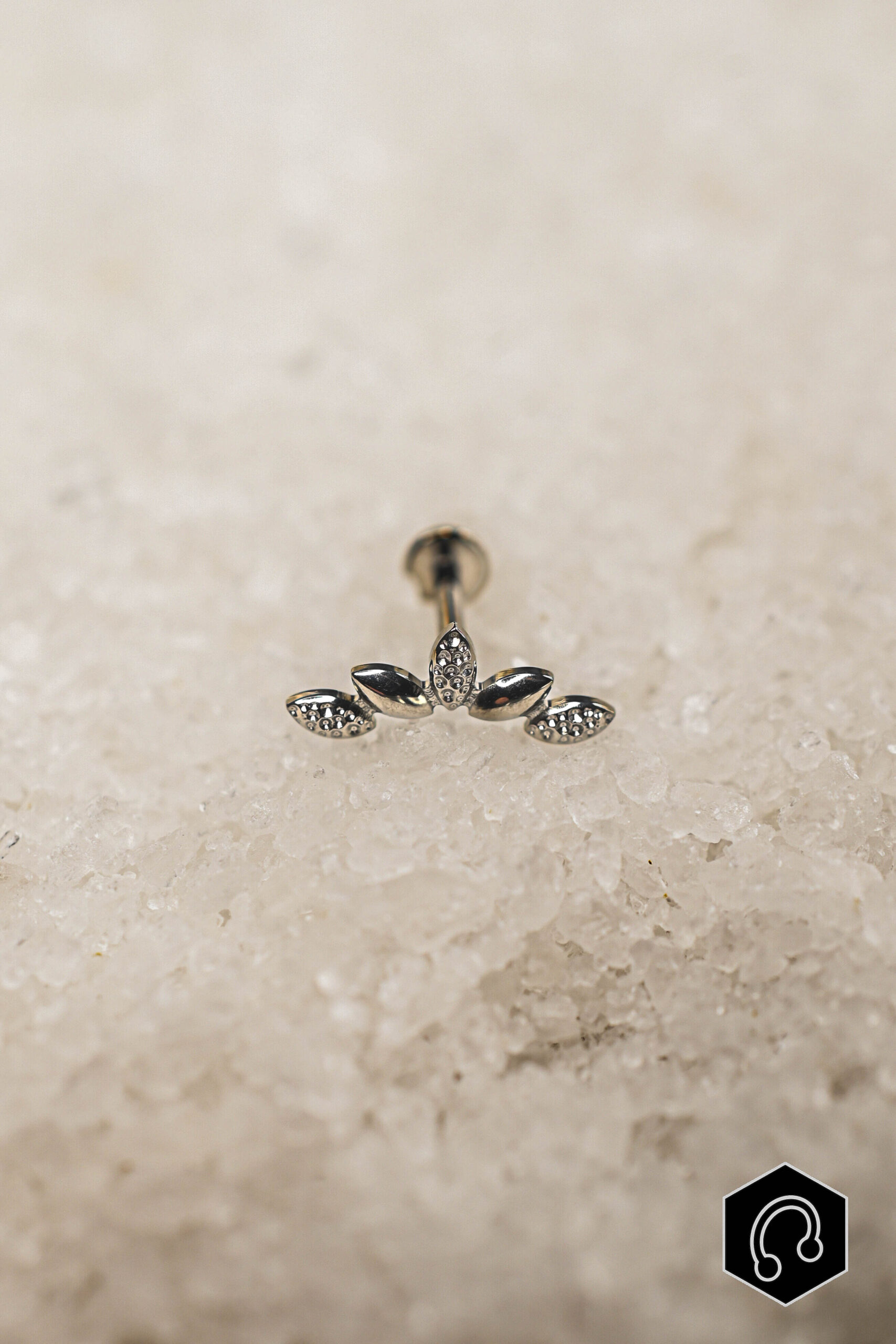 Labret Titane Argenté Martelmix