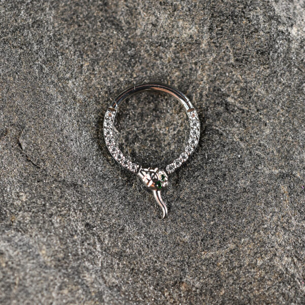 Anneau Titane Argenté Ouroboros