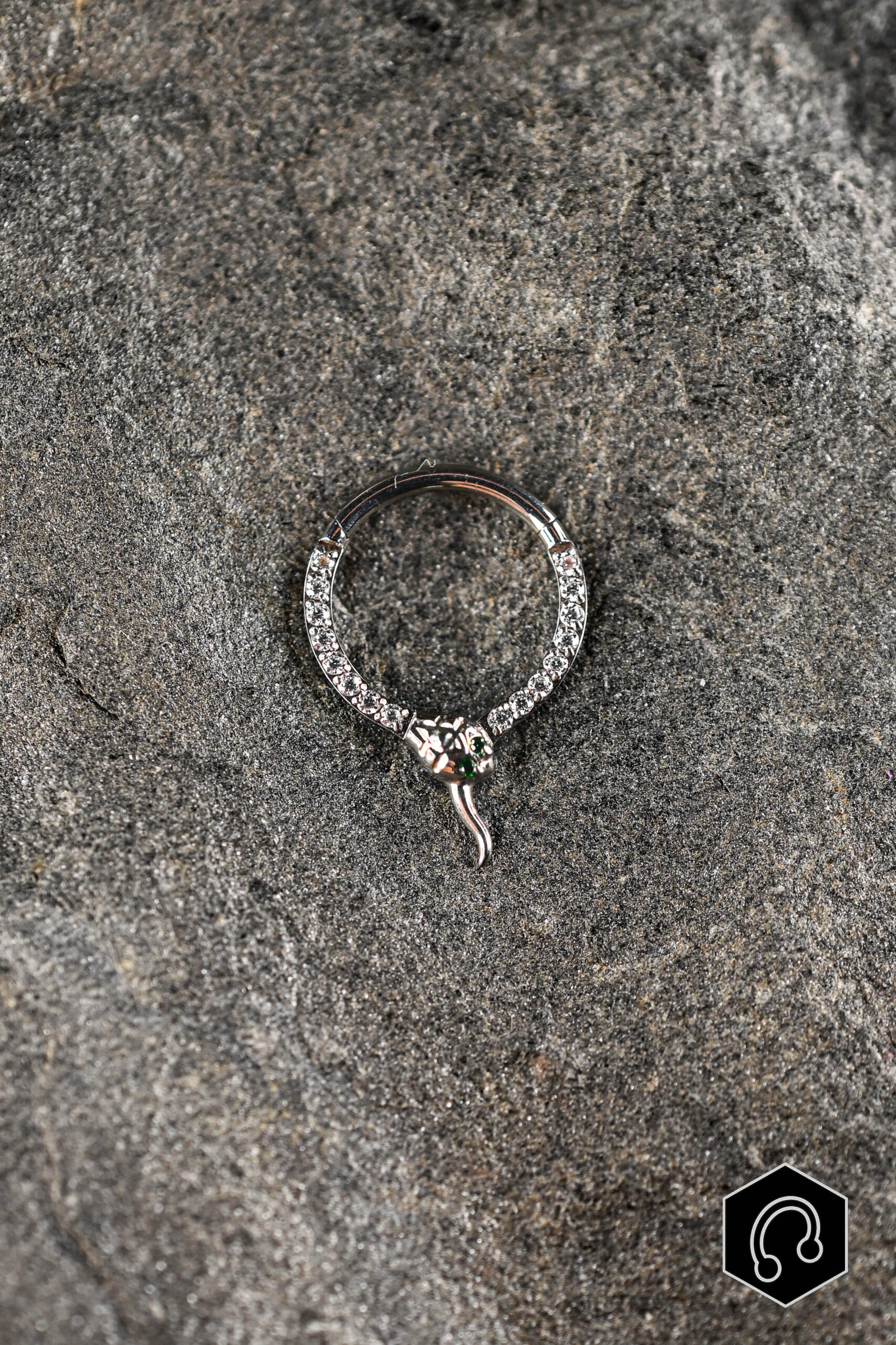 Anneau Titane Argenté Ouroboros