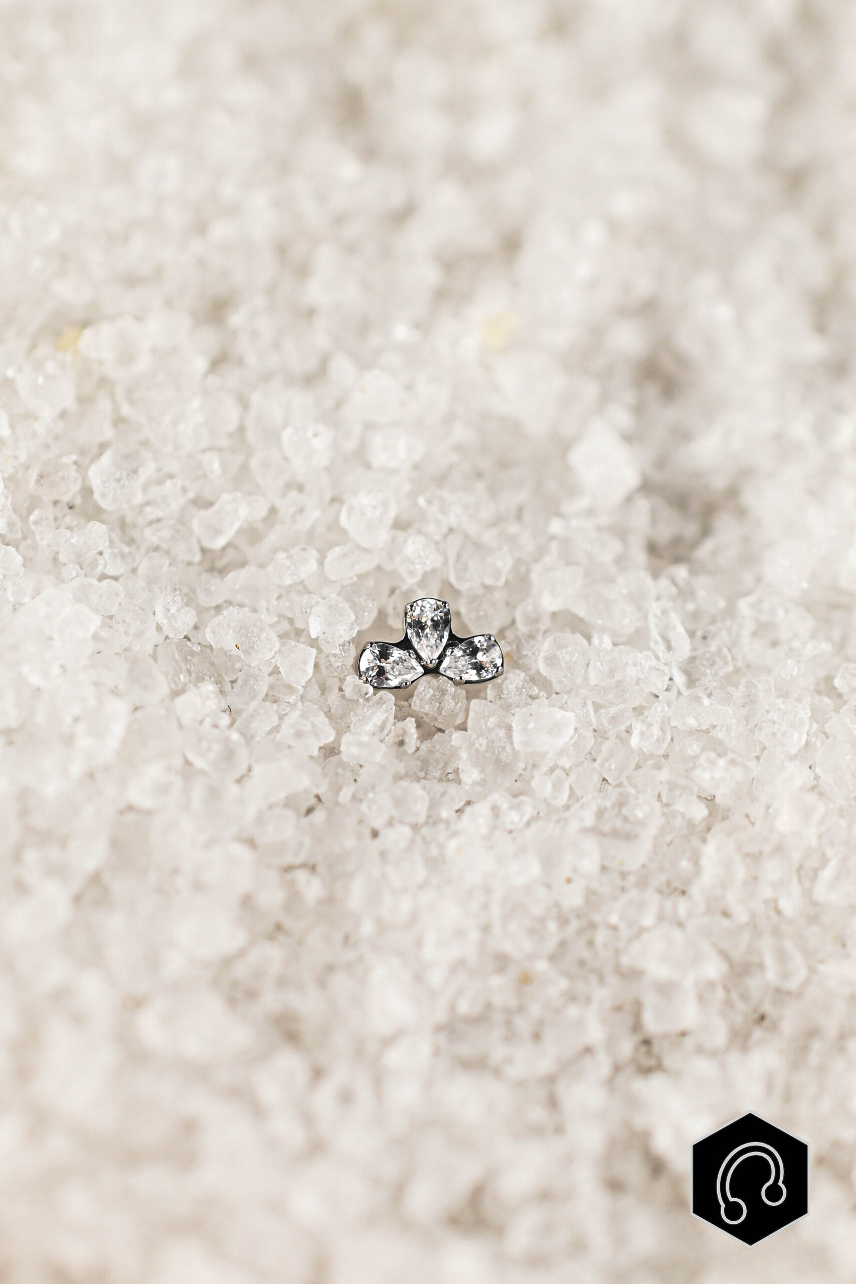 Labret Titane Argenté Petal Kiss