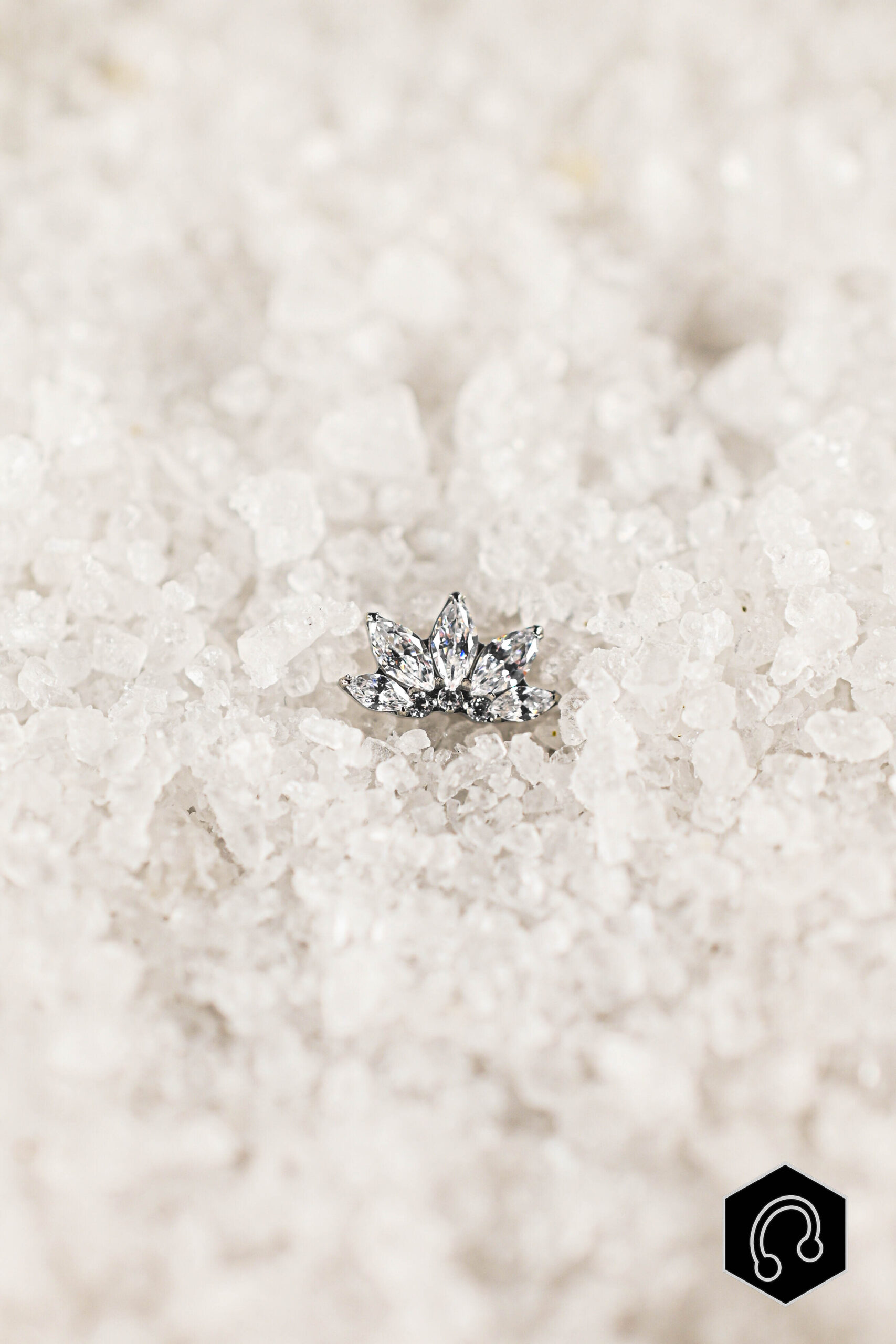 Labret Titane Éclat de Lotus Argenté