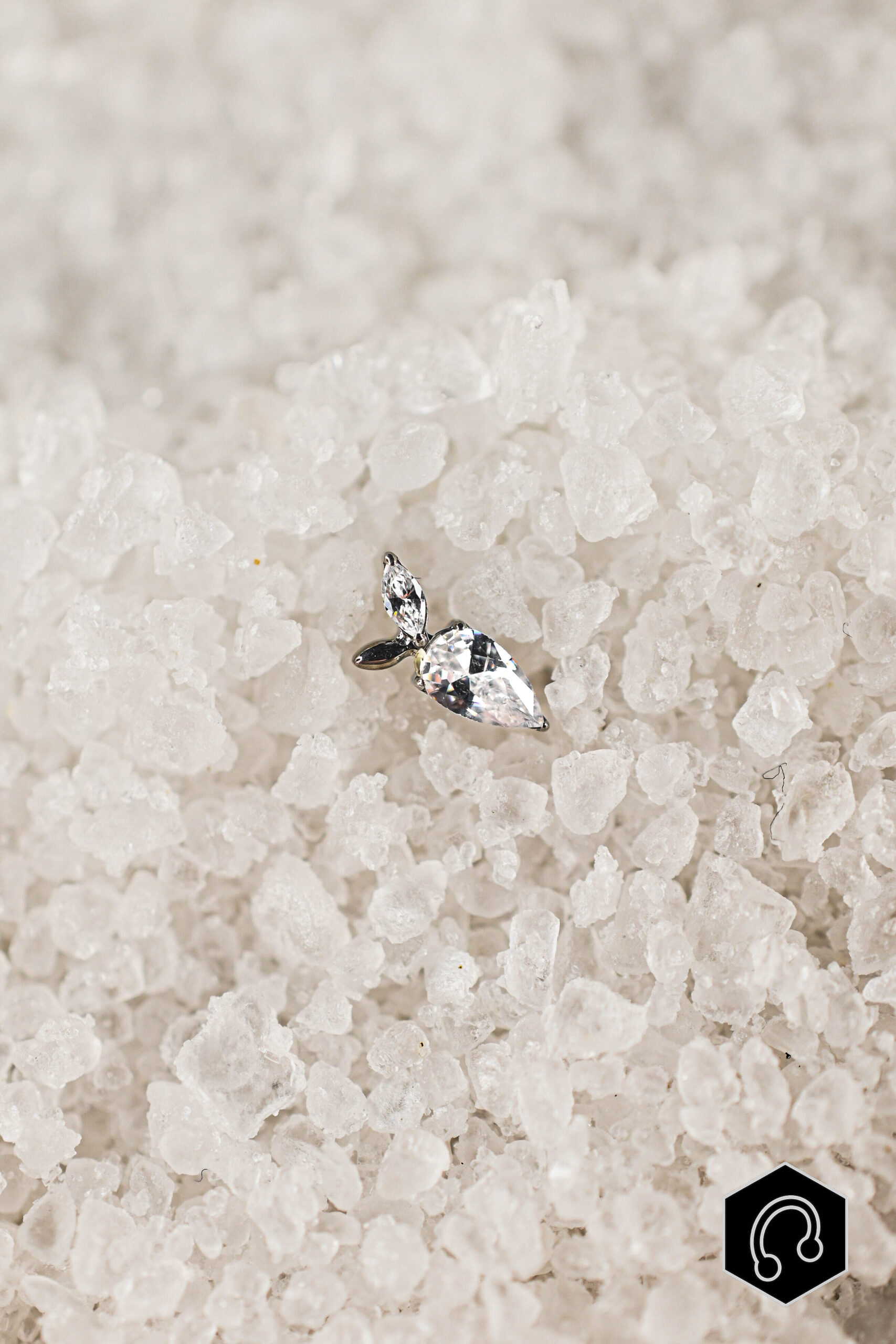 Labret Titane Argenté Spicy Pearl