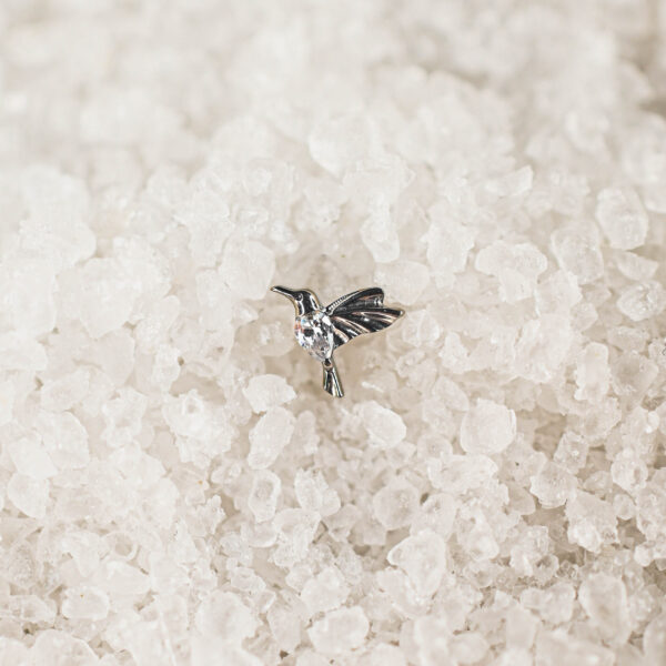 Labret Titane Argenté Colibria