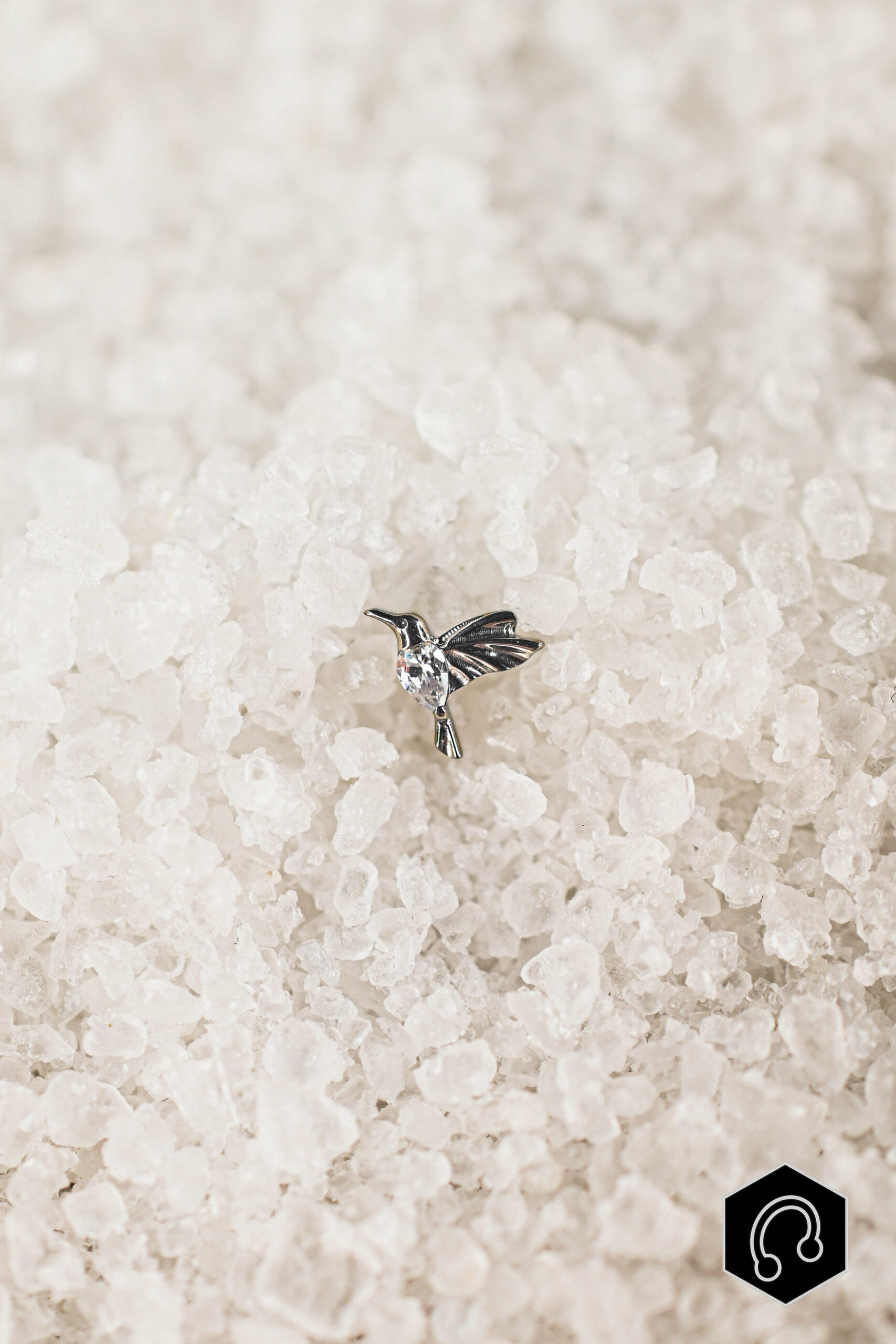 Labret Titane Argenté Colibria