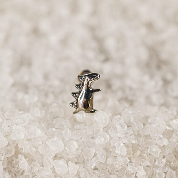 Labret Titane Argenté Tiny Rex