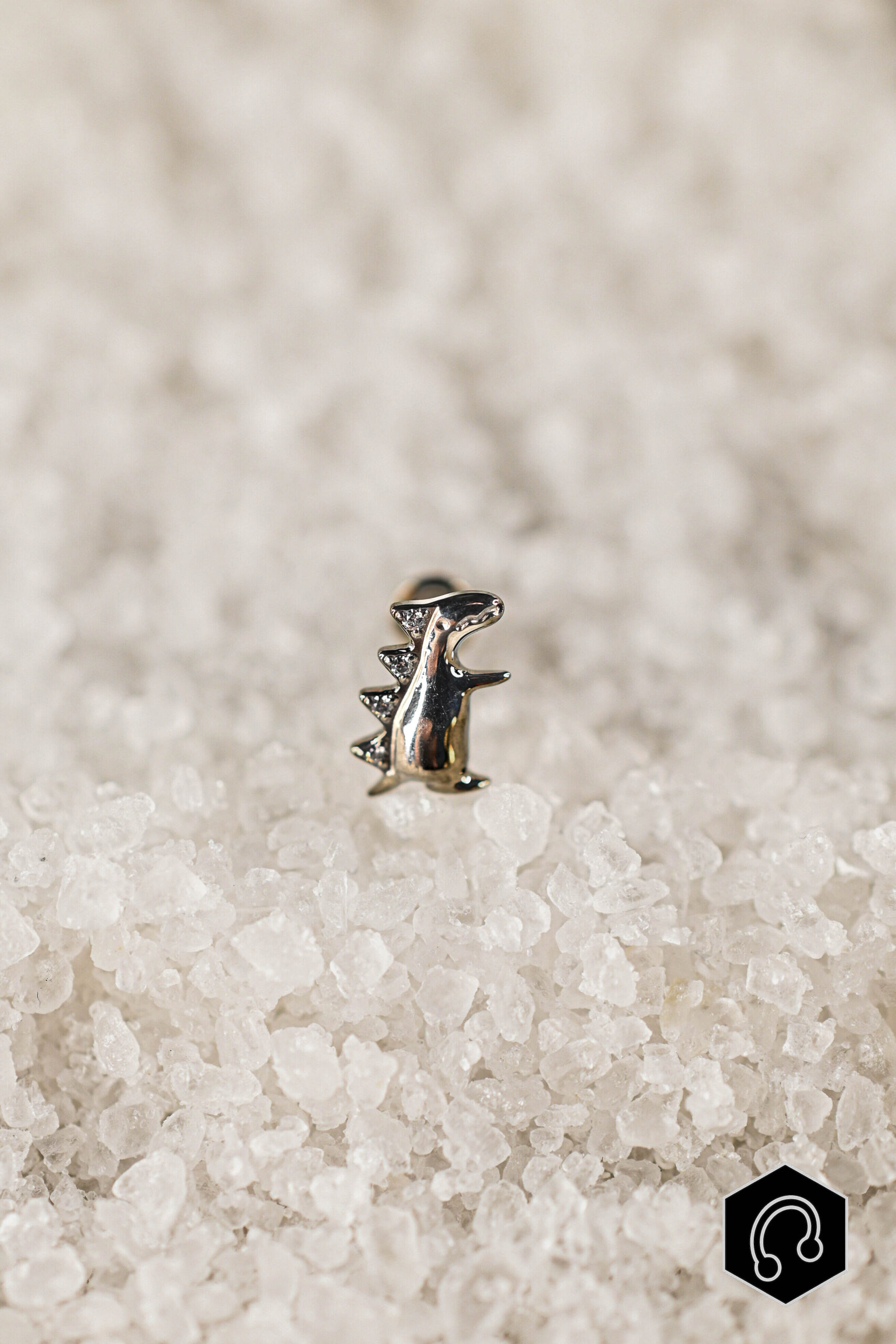 Labret Titane Argenté Tiny Rex