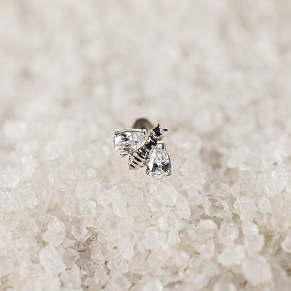 Labret Titane Argenté Queen Bee