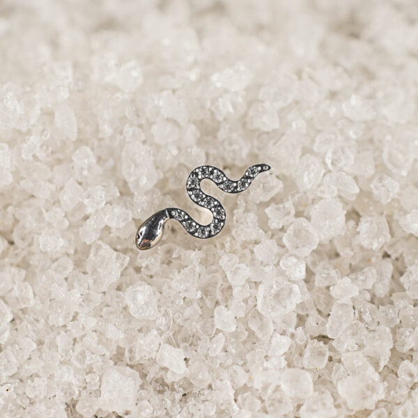 Labret Titane Argenté Ophidia