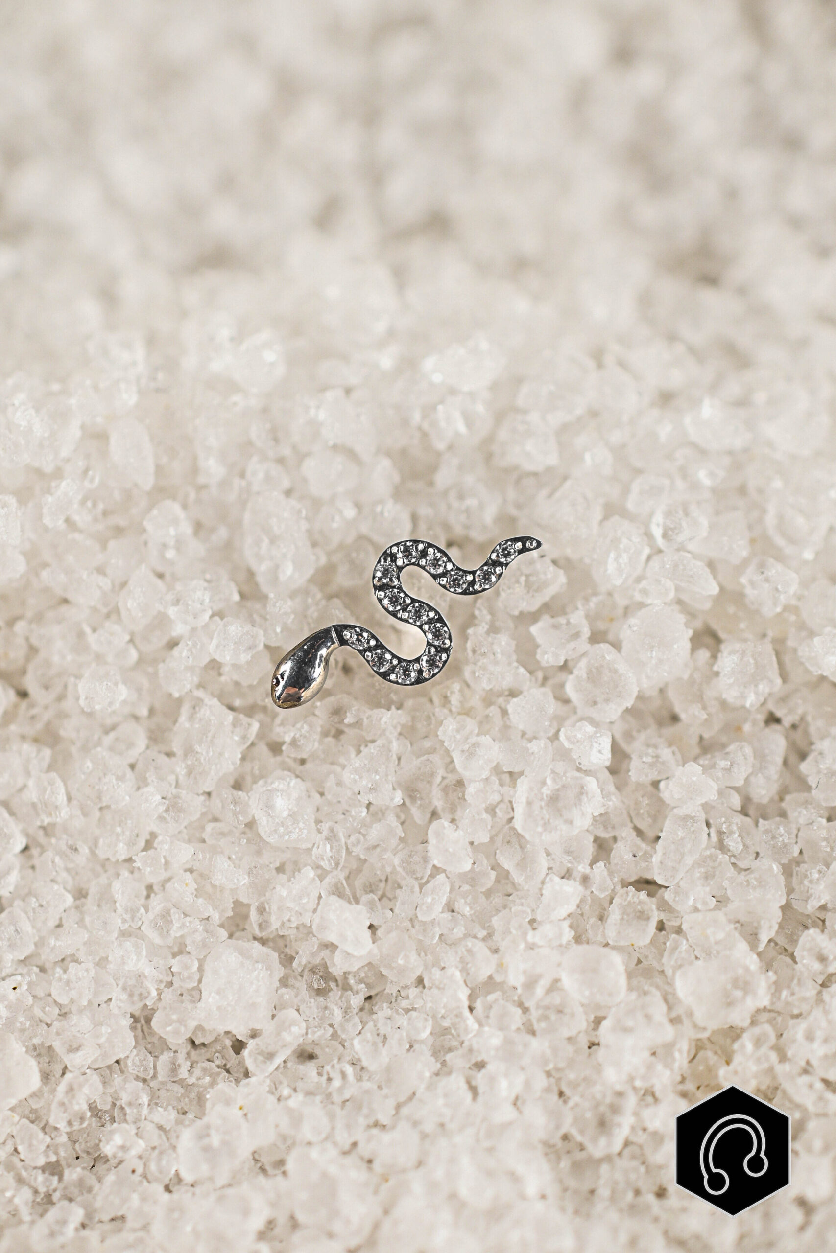 Labret Titane Argenté Ophidia