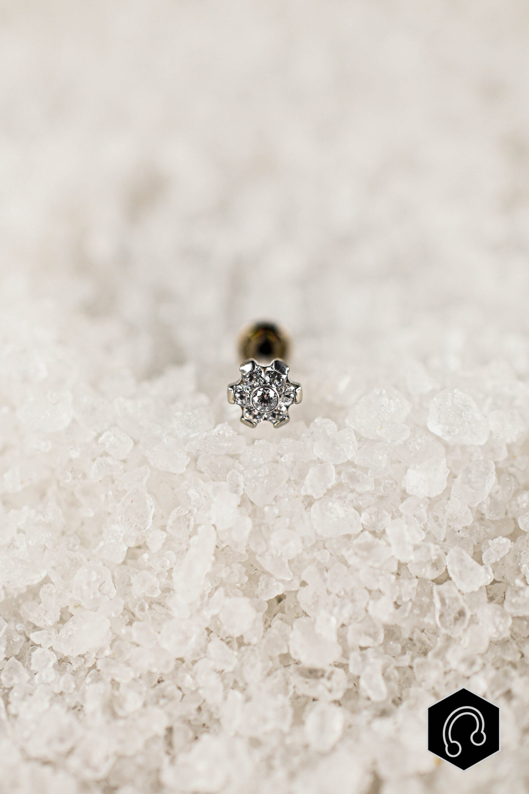 Labret Titane Argenté Lys