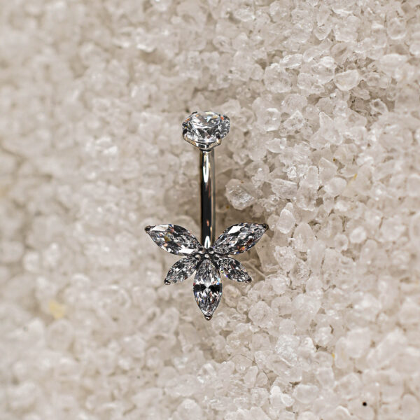 Banane Nombril Titane Argenté Floraïa