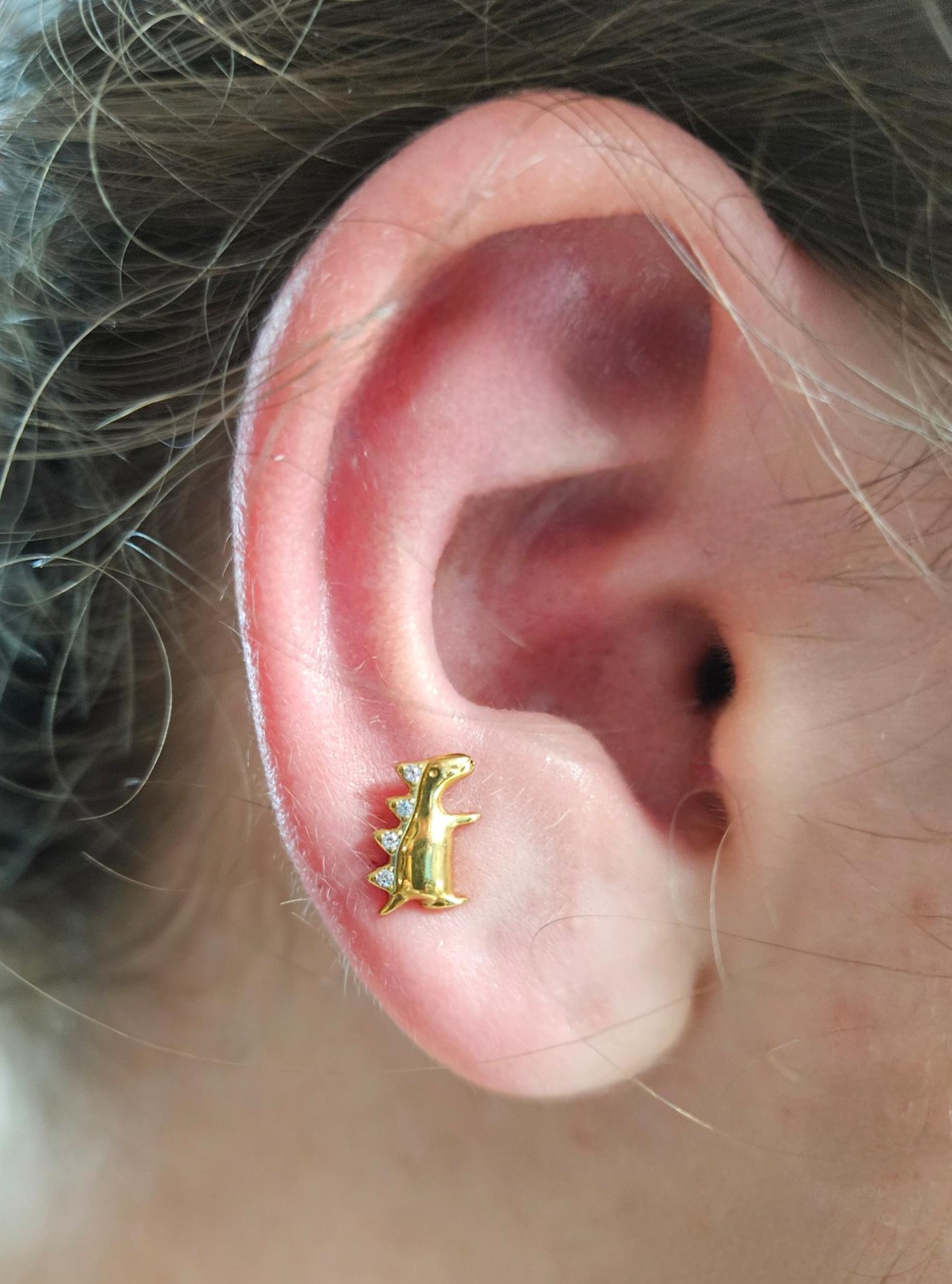 Labret Titane Doré Tiny Rex