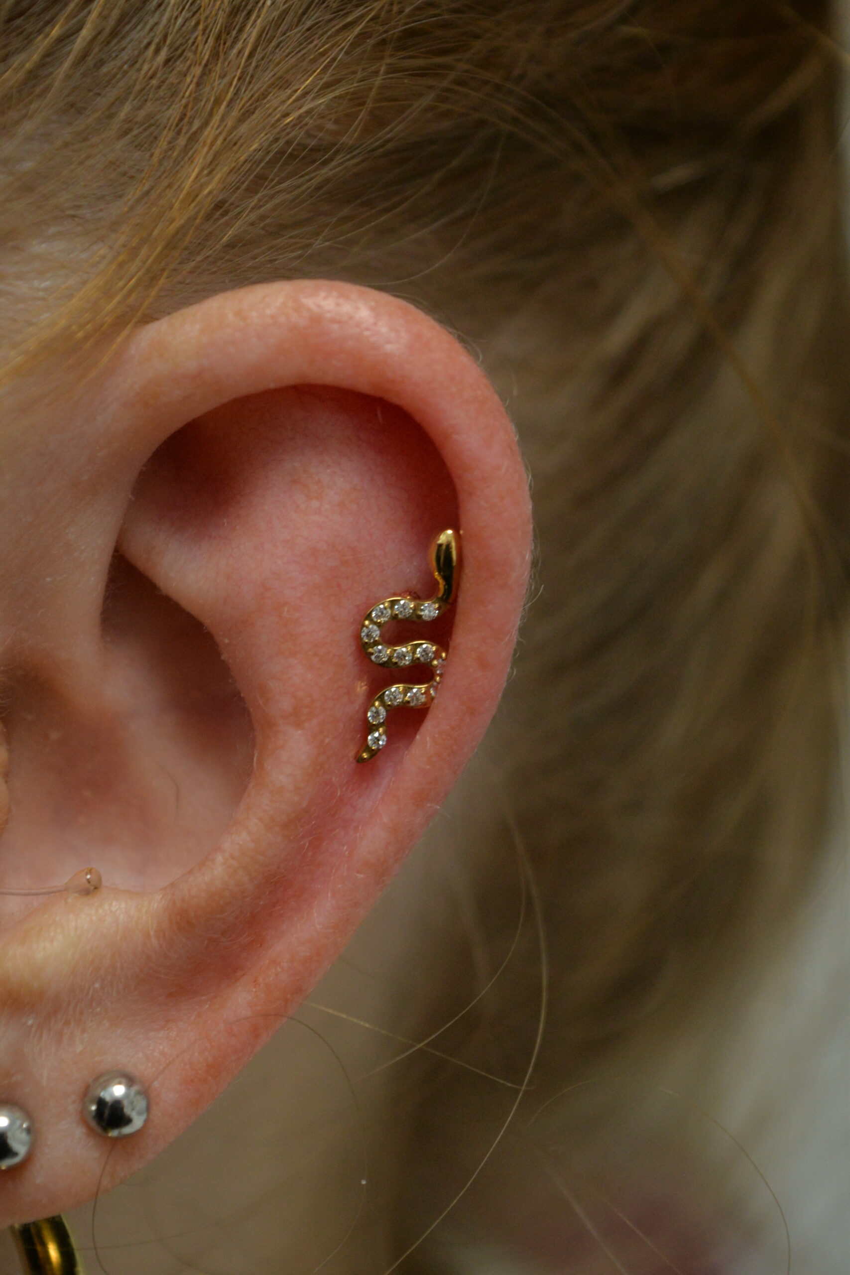 Labret Titane Doré Ophidia
