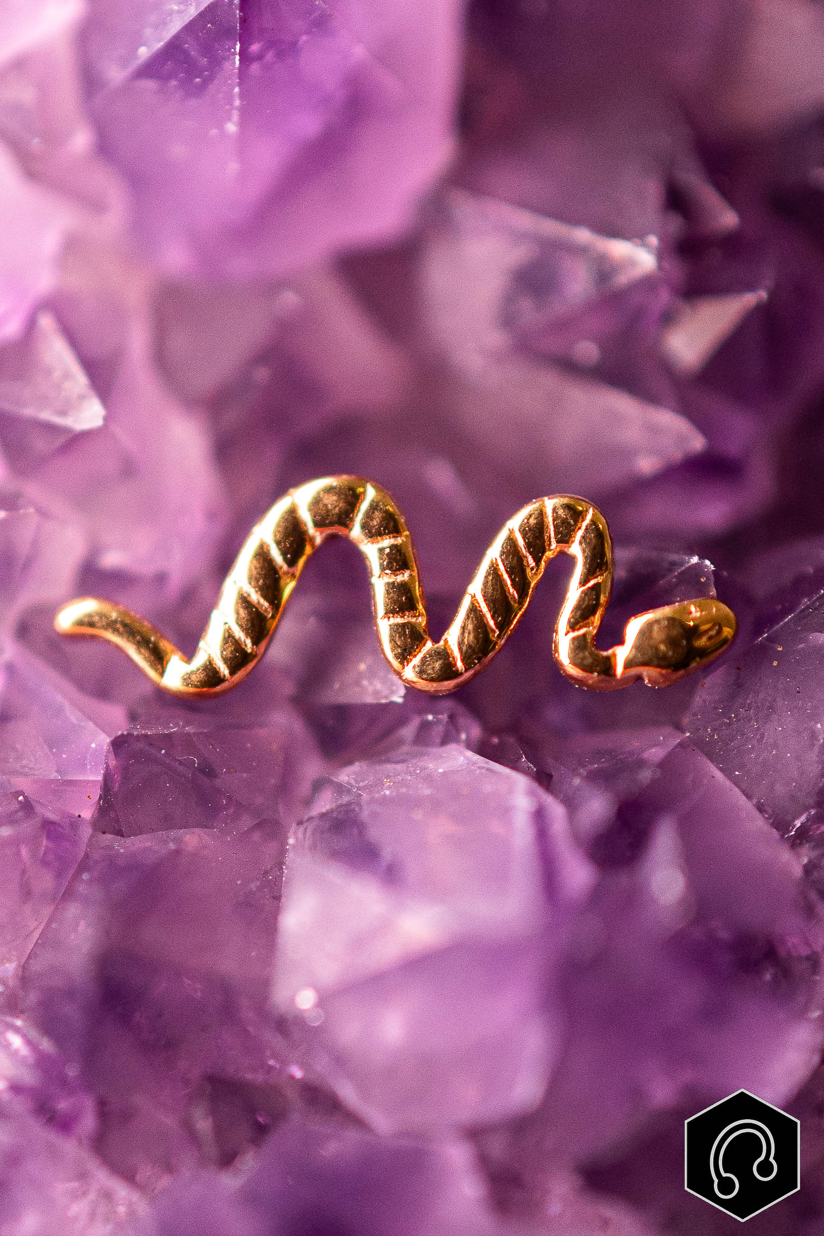 Labret Titane Doré Nagini