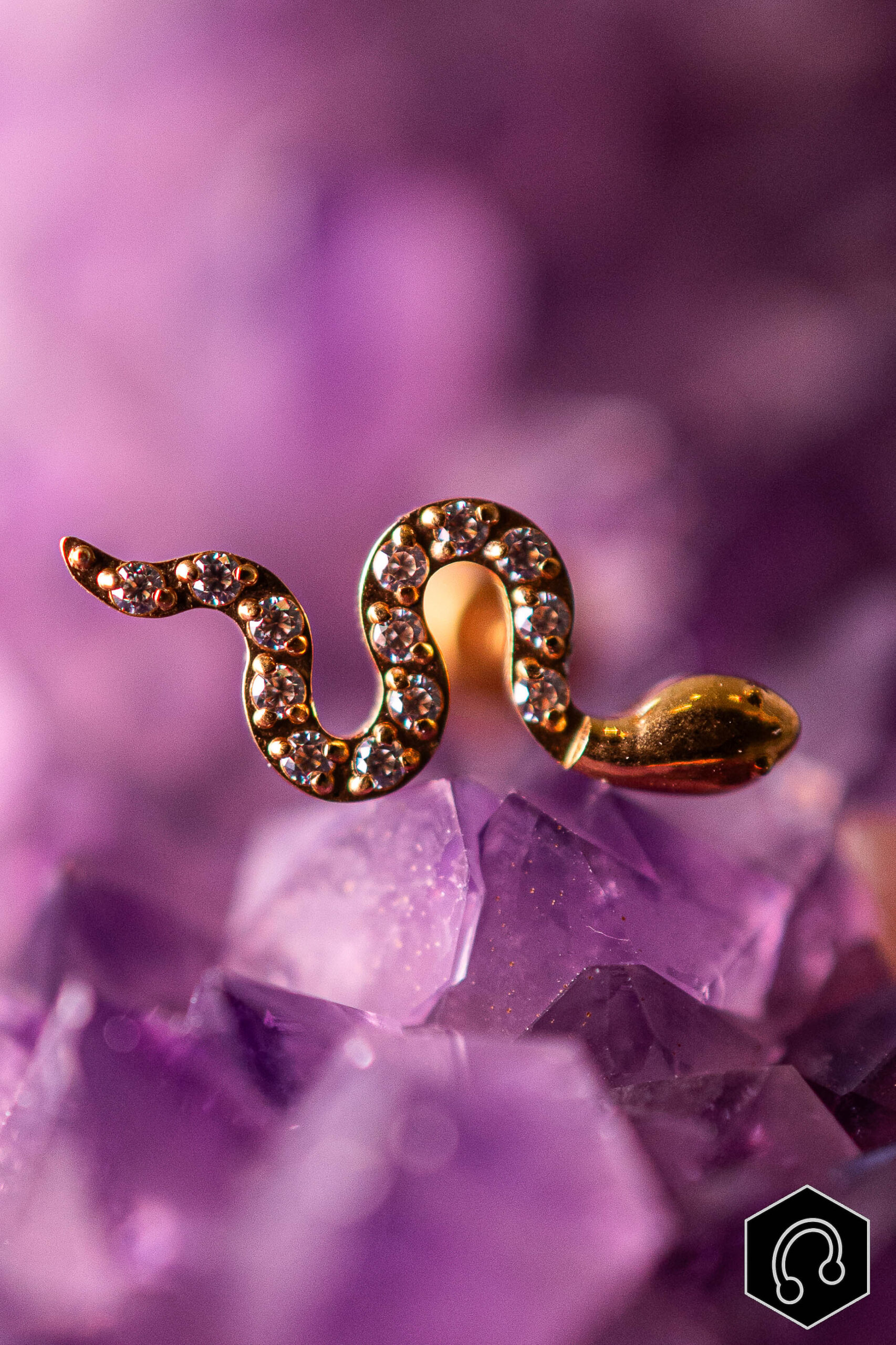 Labret Titane Doré Ophidia