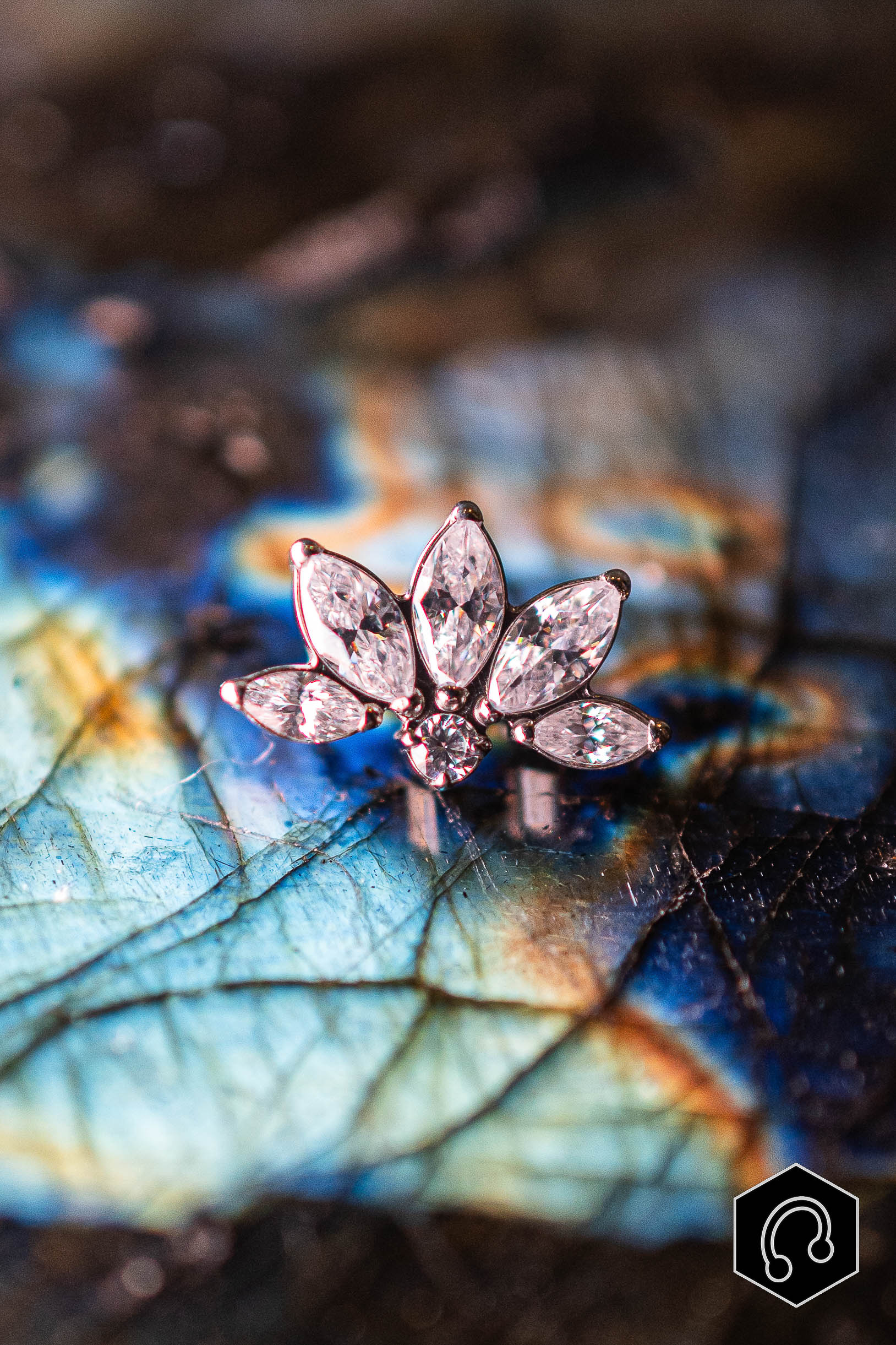 Labret Titane Argenté Lotus Étoilé