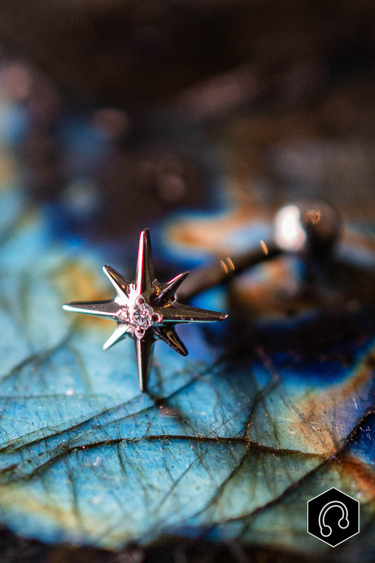 Banane Titane Argenté Starlight