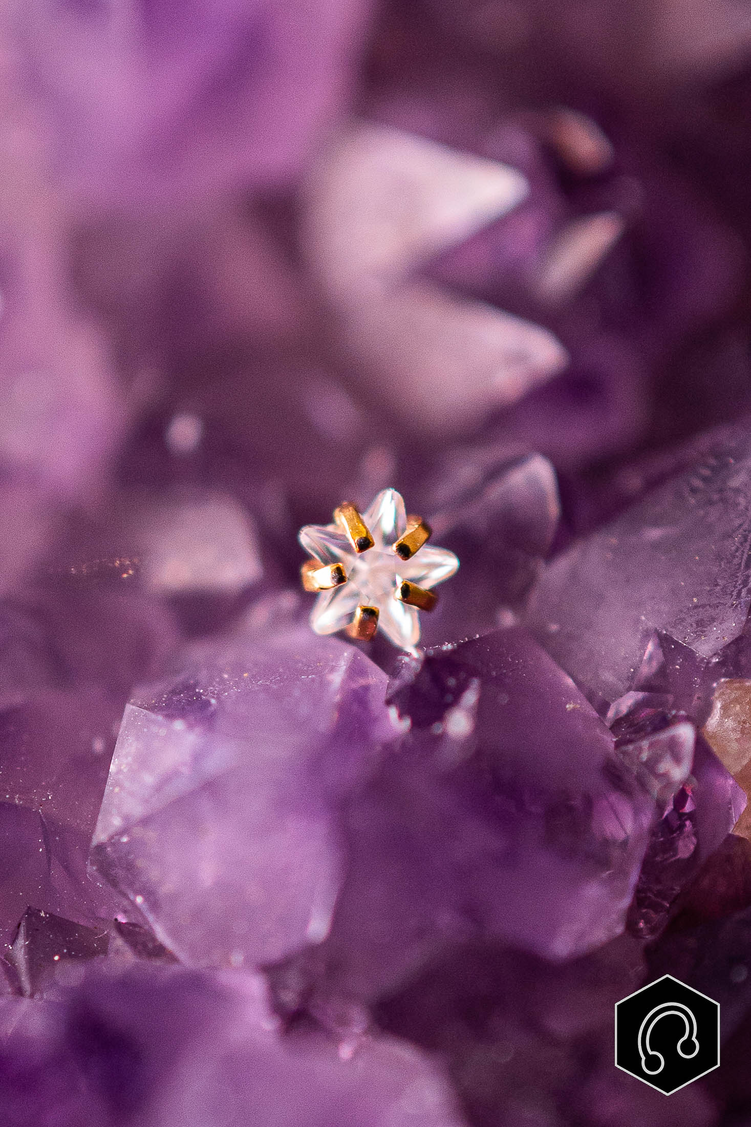 Strass Titane Doré Starflower