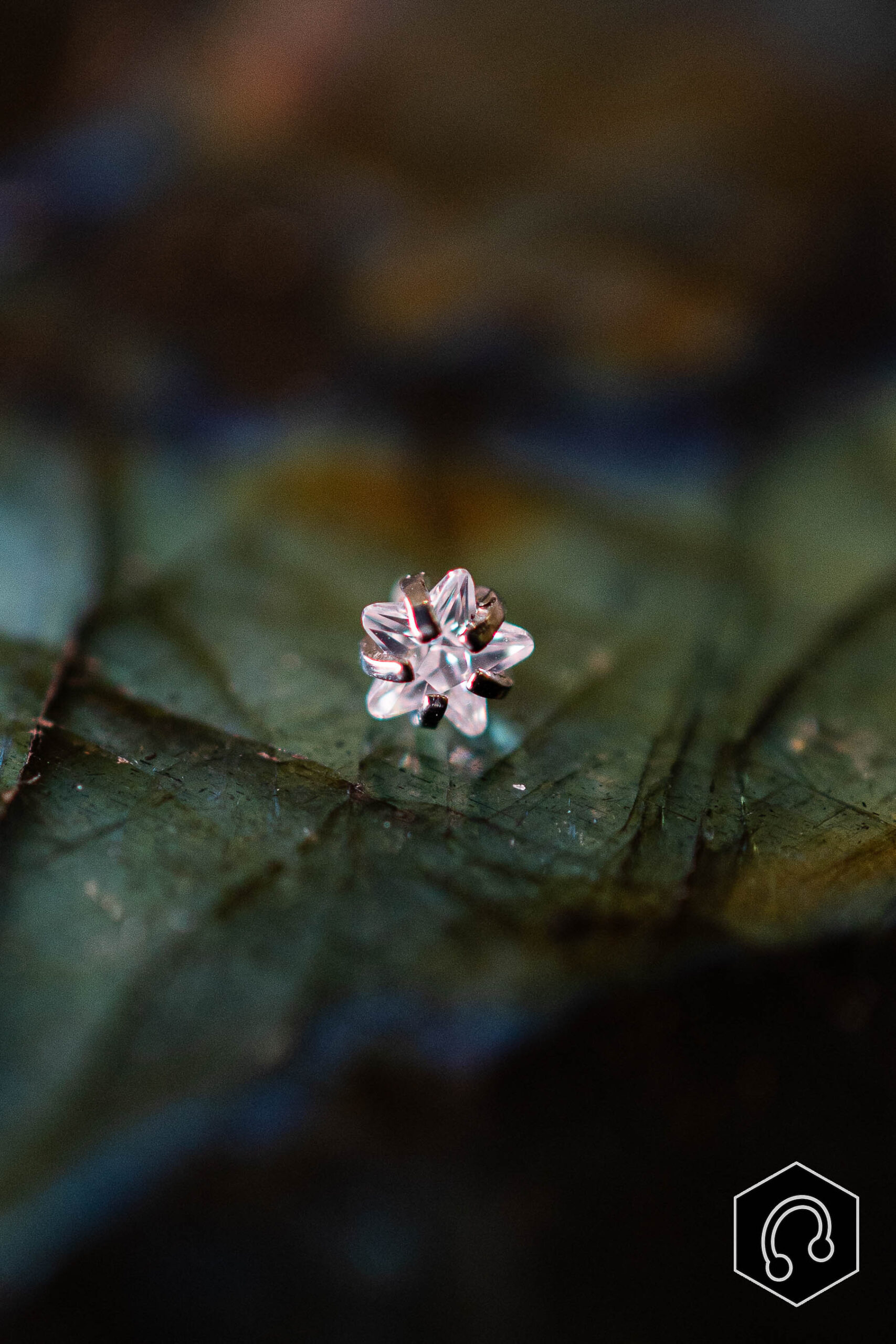 strass titane argenté Starflower
