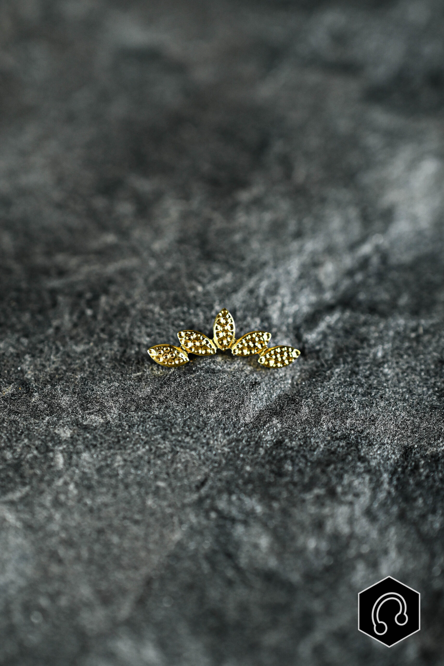 Labret Titane Doré Terra Nova