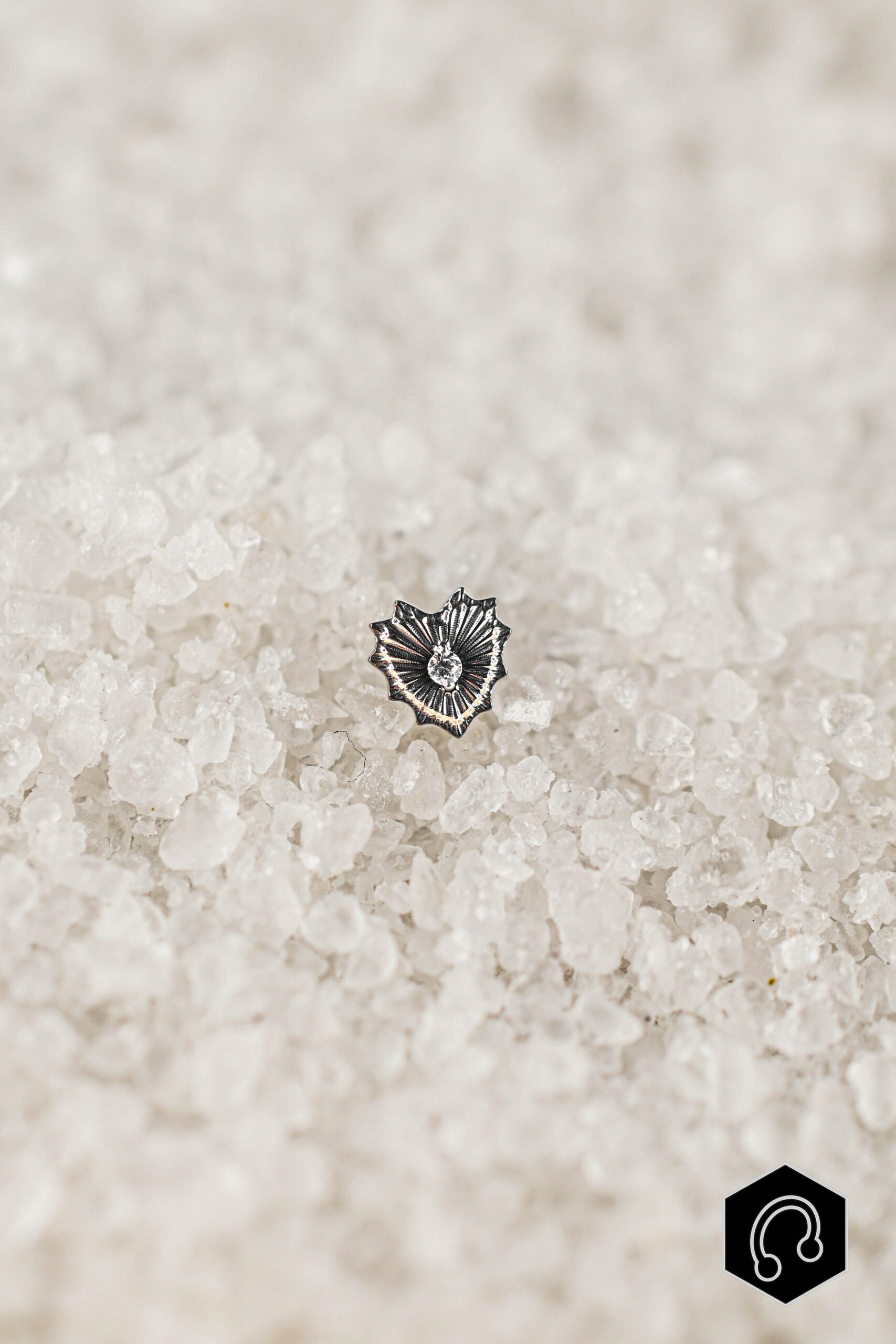 Labret Titane Argenté GothHeart