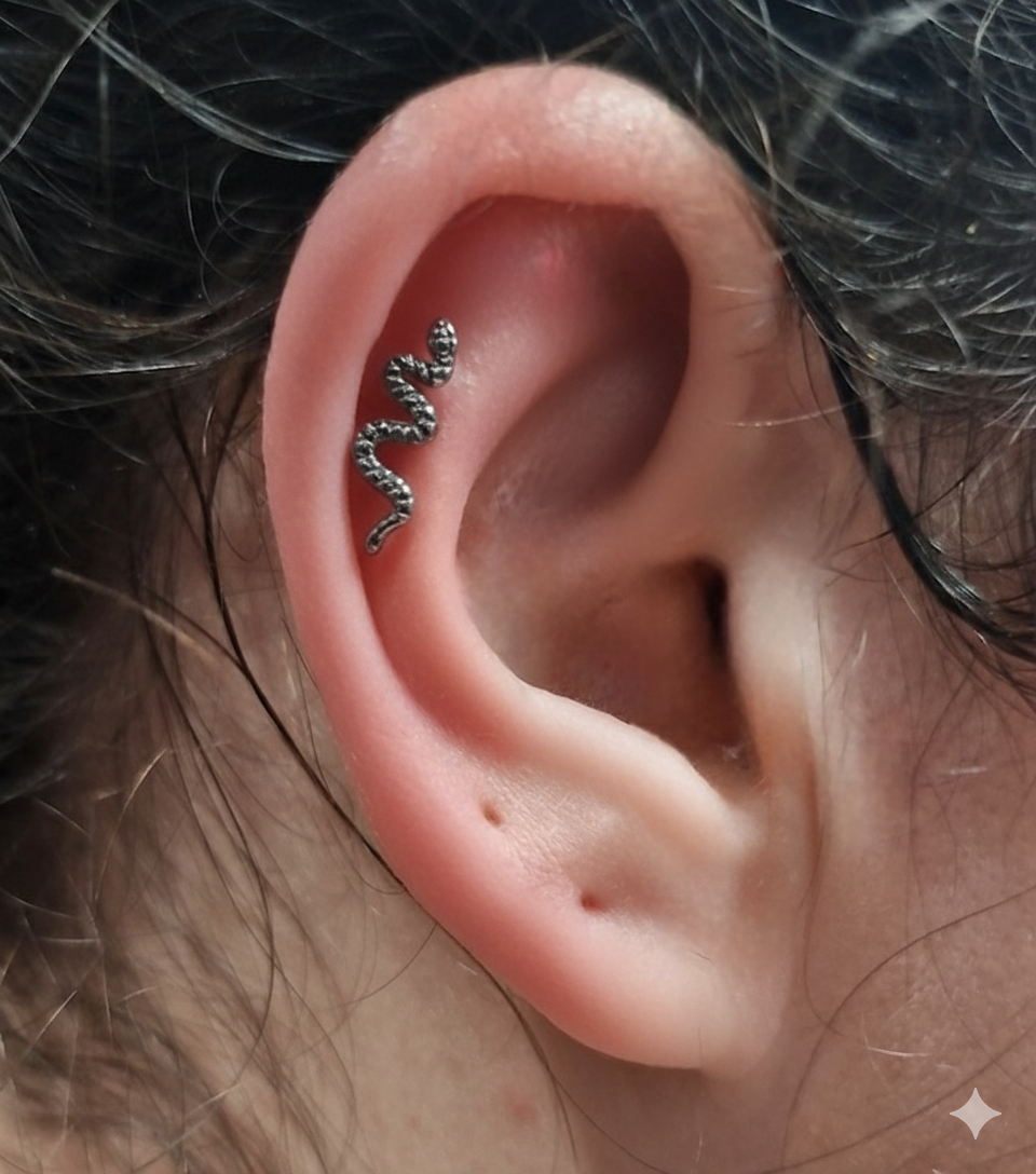 Labret titane doré nagini