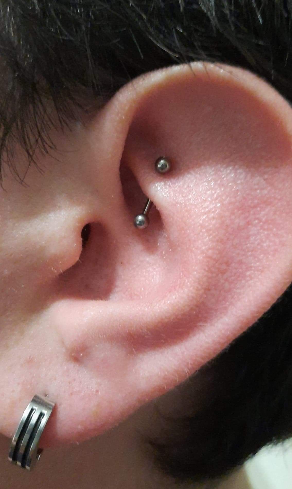 Banane Titane Argenté Pure Curve