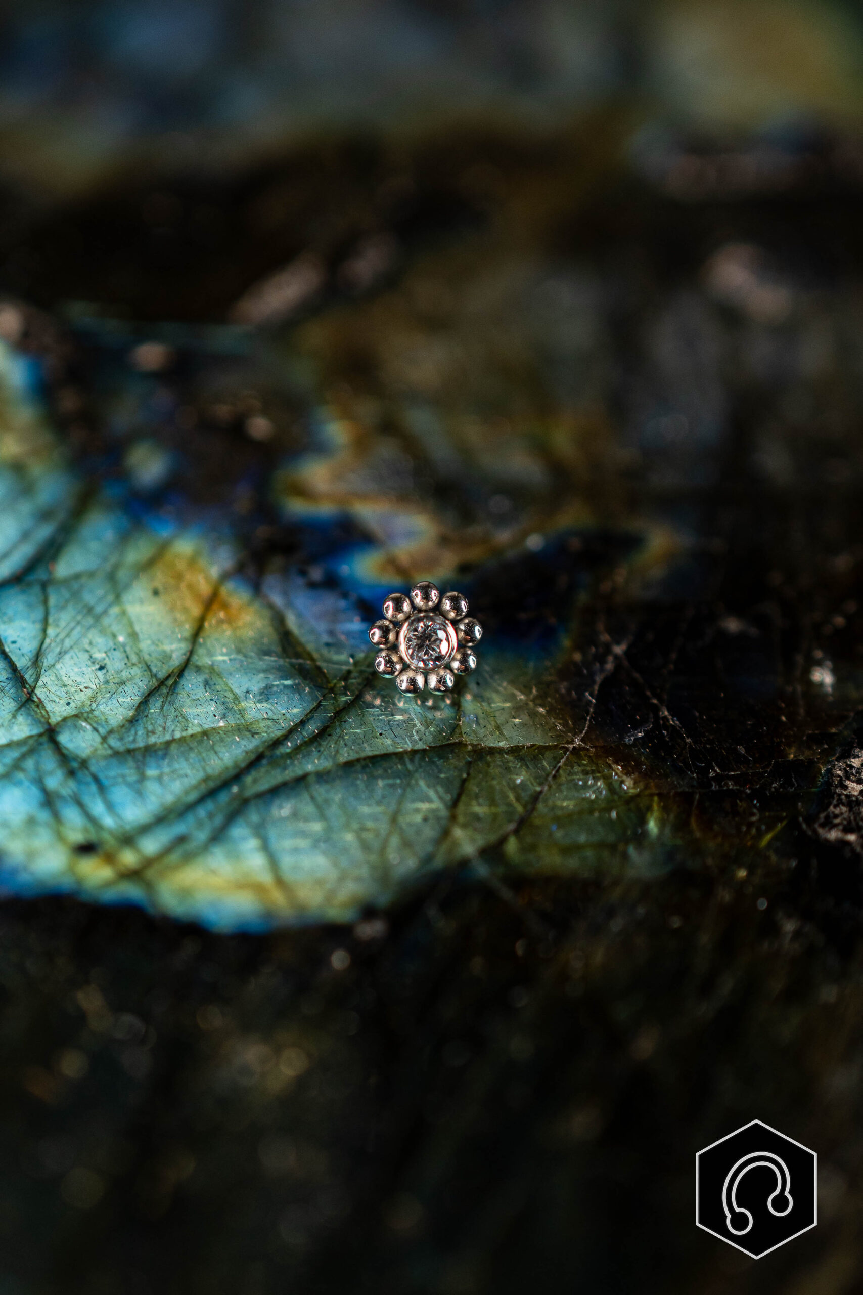 Labret Titane Argenté Bloom Light